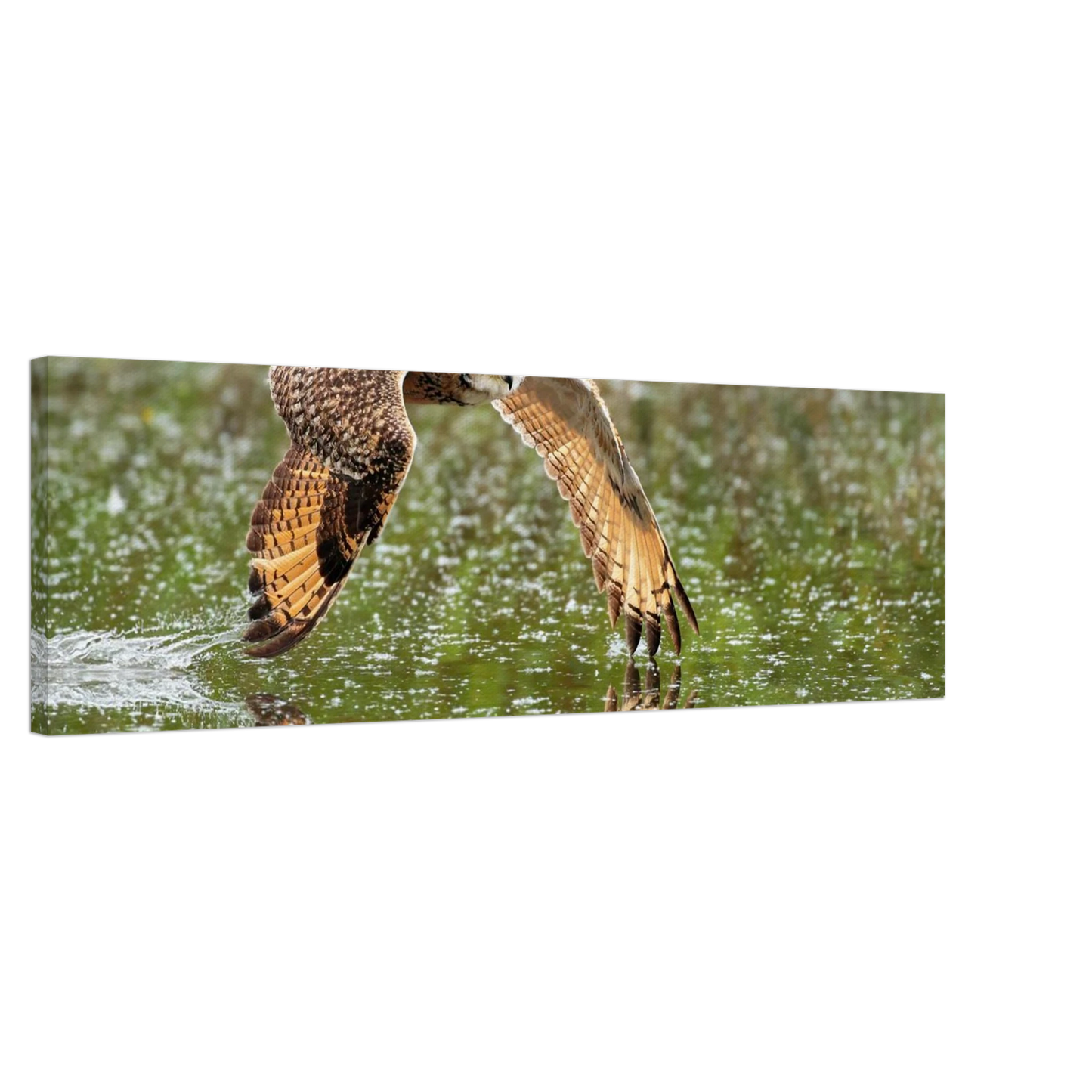 Wandbild majestaetische eule im flug naturfotografie mit lebendigen orangetoenen in ihrer wunschgroesse