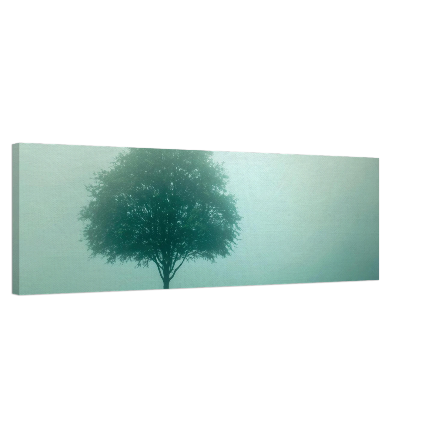 Wandbild mystischer baum im nebel ruhe und gruentoene fuer dein zuhause