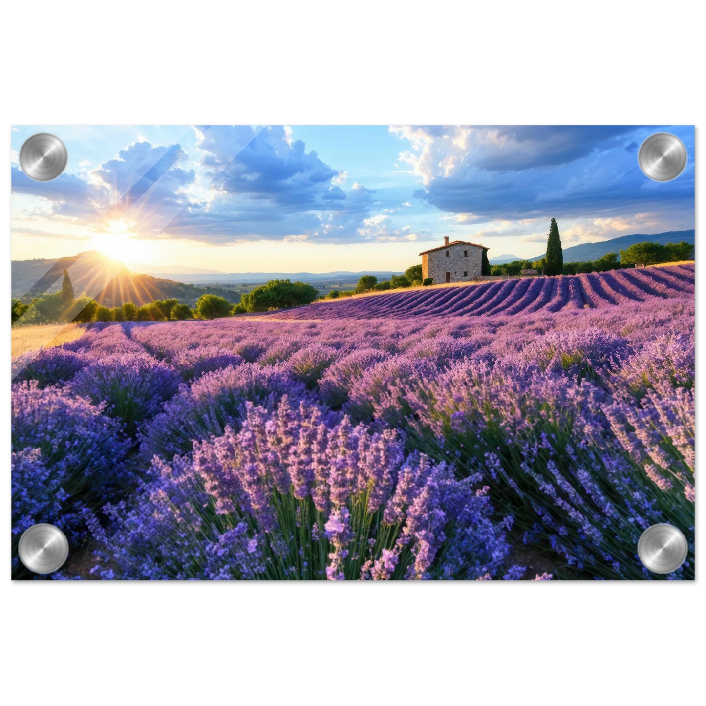 Wandbild sonnenuntergang ueber lavendelfeldern idyllische provence landschaft im wunschformat