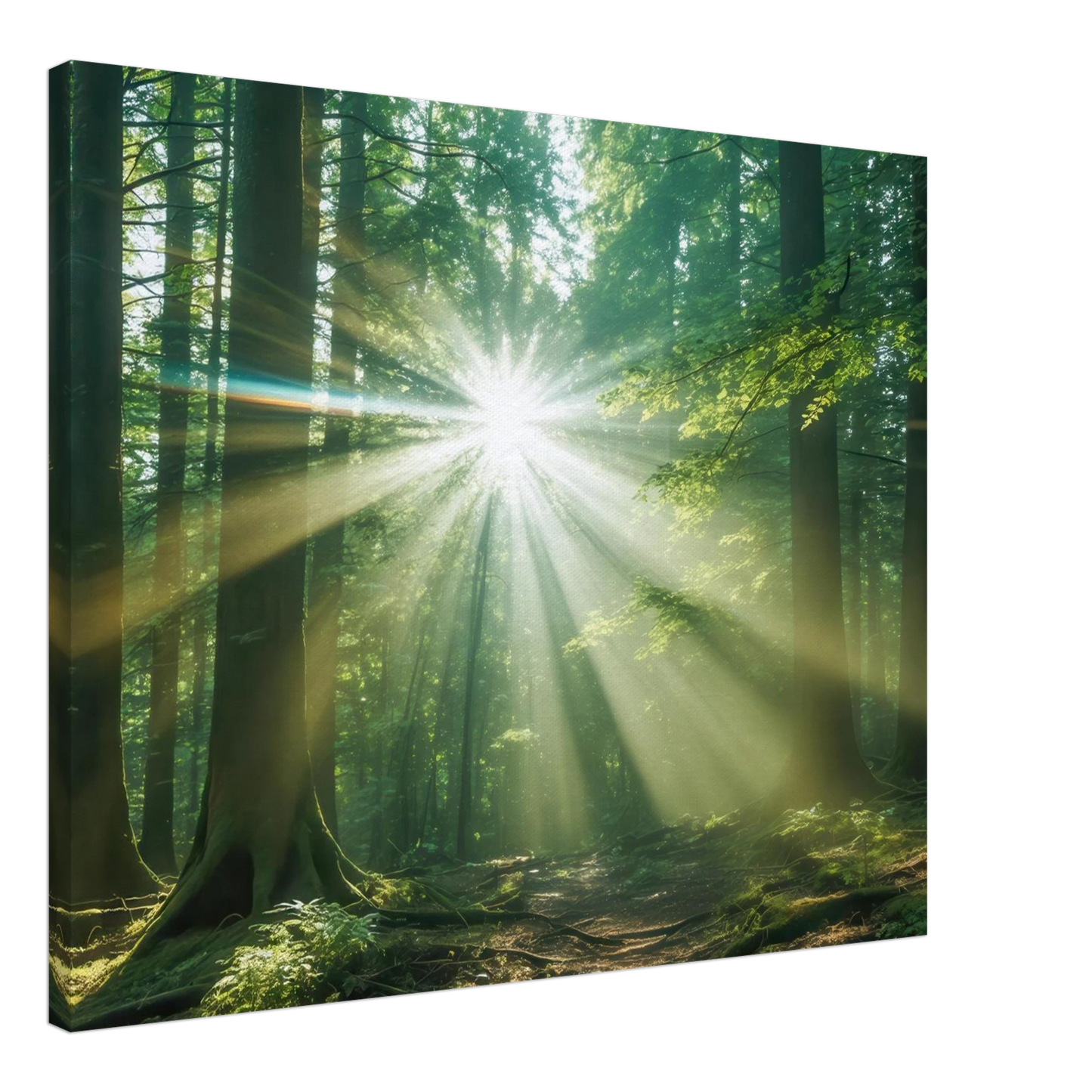 Wandbild sonnenstrahlen im wald mystisches waldlicht kunstdruck in ihrer wunschgroesse