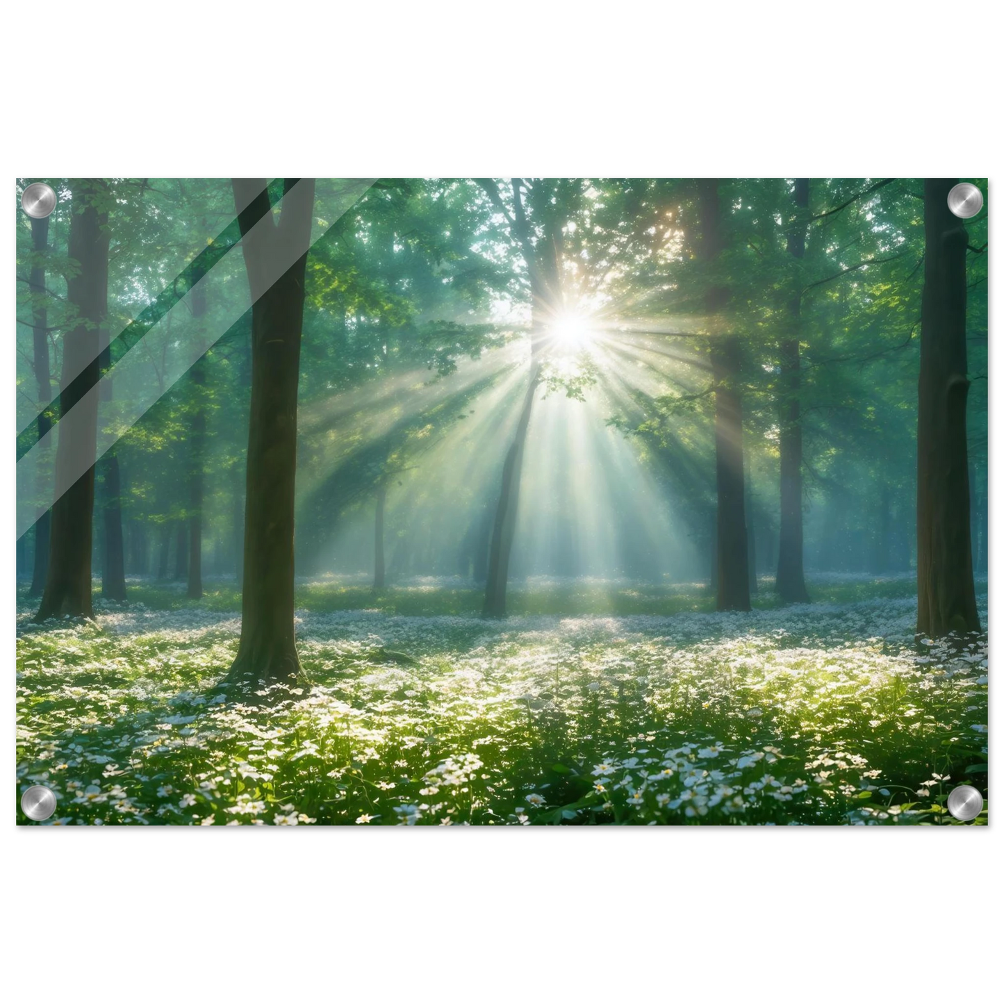 Wandbild mystischer wald sonnenstrahlen im gruenen bluetenmeer