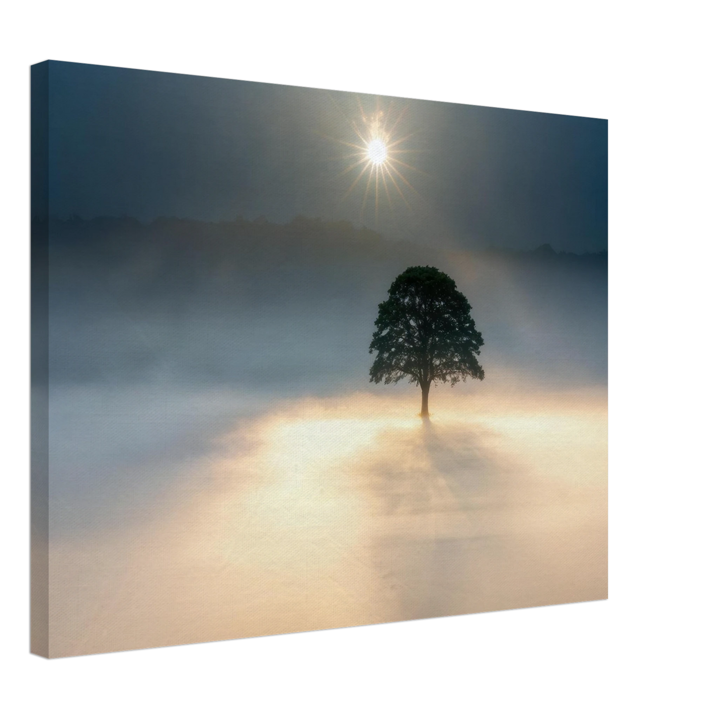 Wandbild mystisches baum wandbild einzelner baum im nebel sonnenaufgang waehlbar in verschiedenen groessen