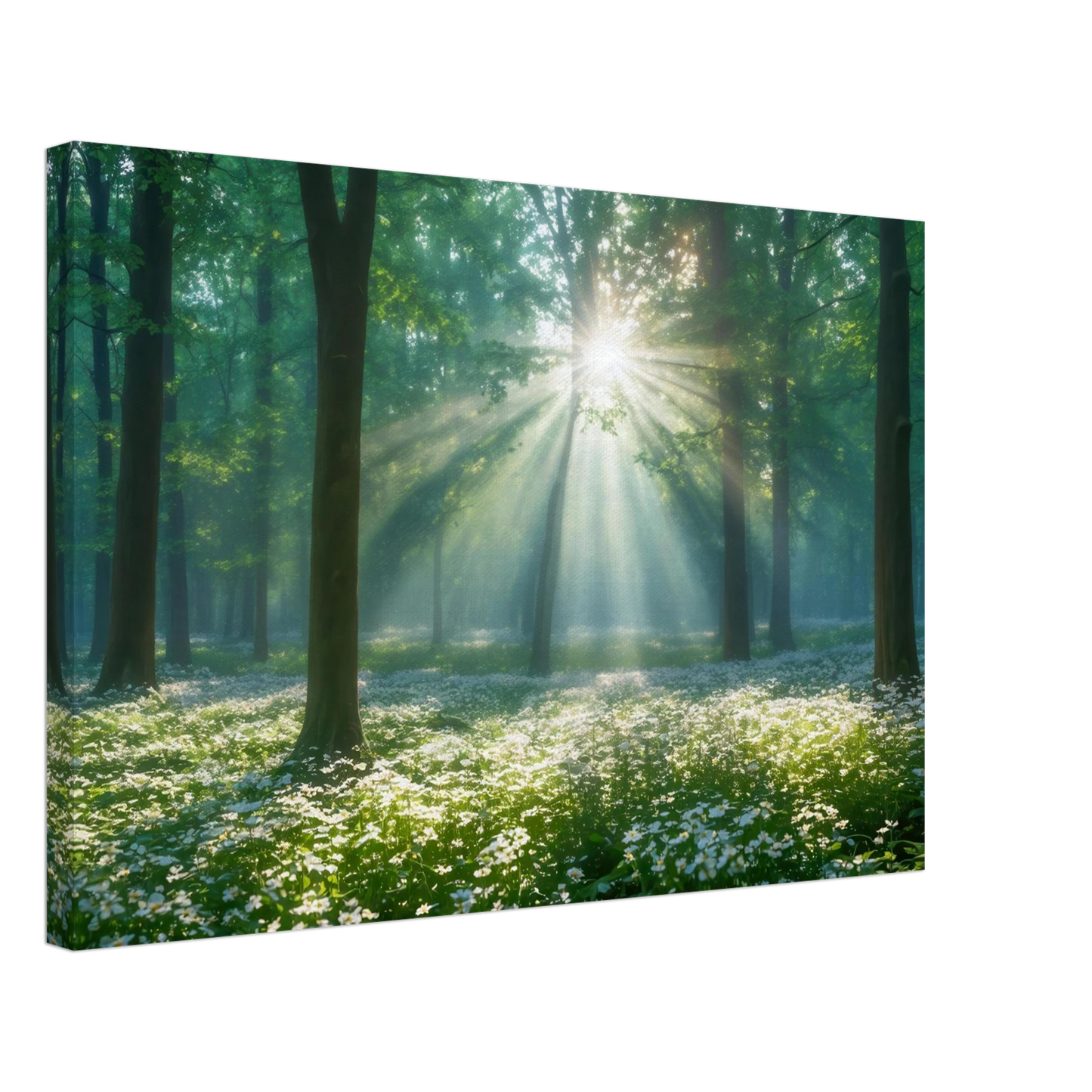 Wandbild mystischer wald sonnenstrahlen im gruenen bluetenmeer