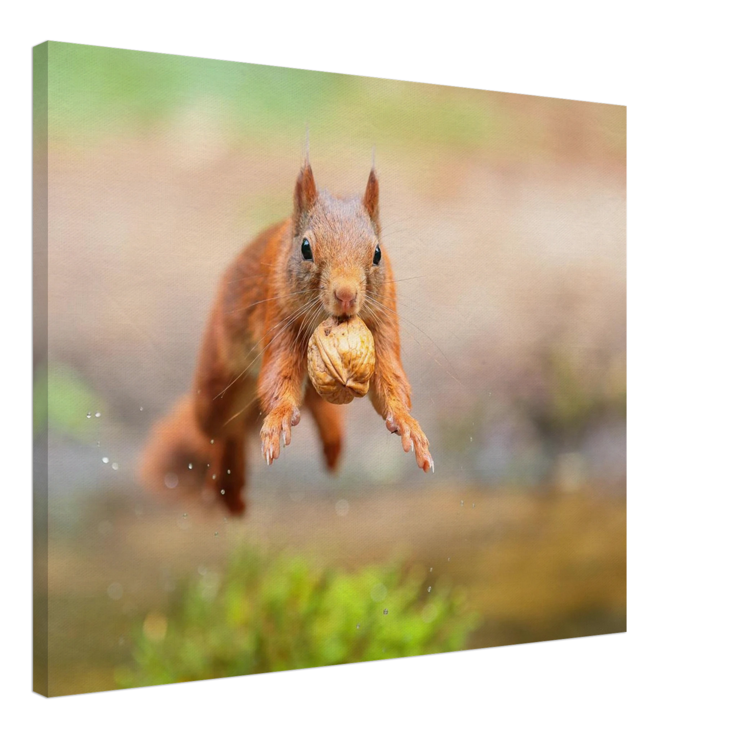Wandbild eichhoernchens freudensprung dynamische tierkunst in leuchtenden farben