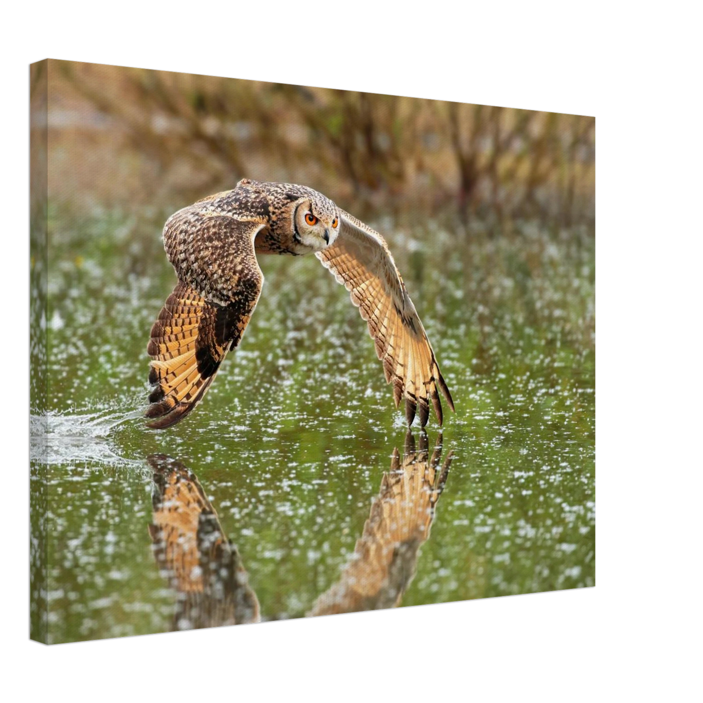 Wandbild majestaetische eule im flug naturfotografie mit lebendigen orangetoenen in ihrer wunschgroesse