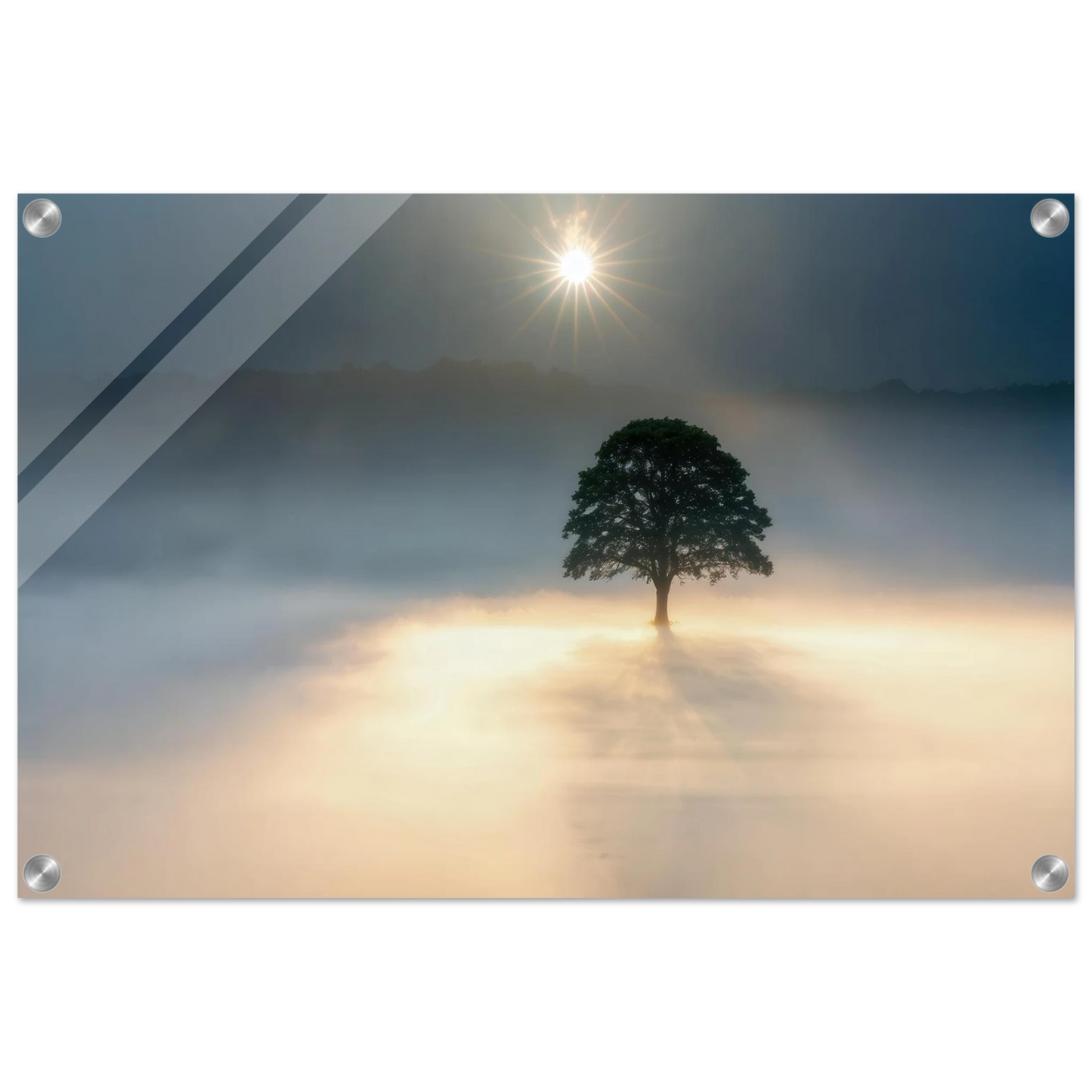 Wandbild mystisches baum wandbild einzelner baum im nebel sonnenaufgang waehlbar in verschiedenen groessen