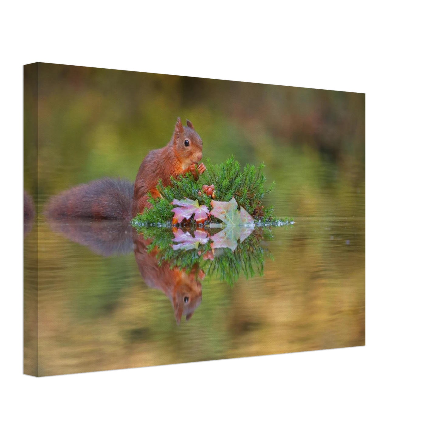 Wandbild bezauberndes eichhoernchen im herbstwald lebendige wildtierkunst fuer ihr zuhause in vielen groessen