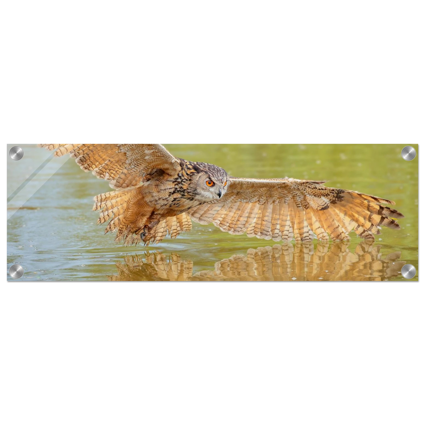 Wandbild majestaetischer uhu im jagdflug atemberaubende wildtierkunst in verschiedenen groessen