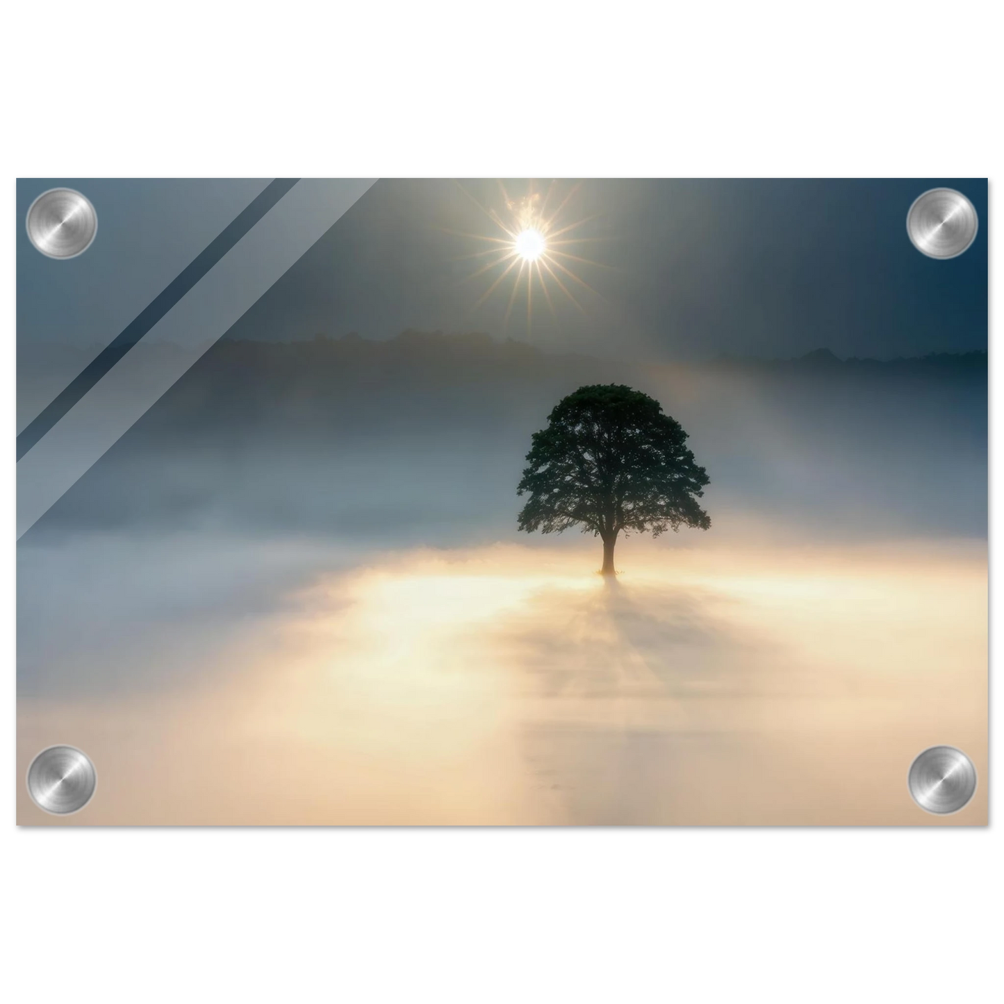 Wandbild mystisches baum wandbild einzelner baum im nebel sonnenaufgang waehlbar in verschiedenen groessen