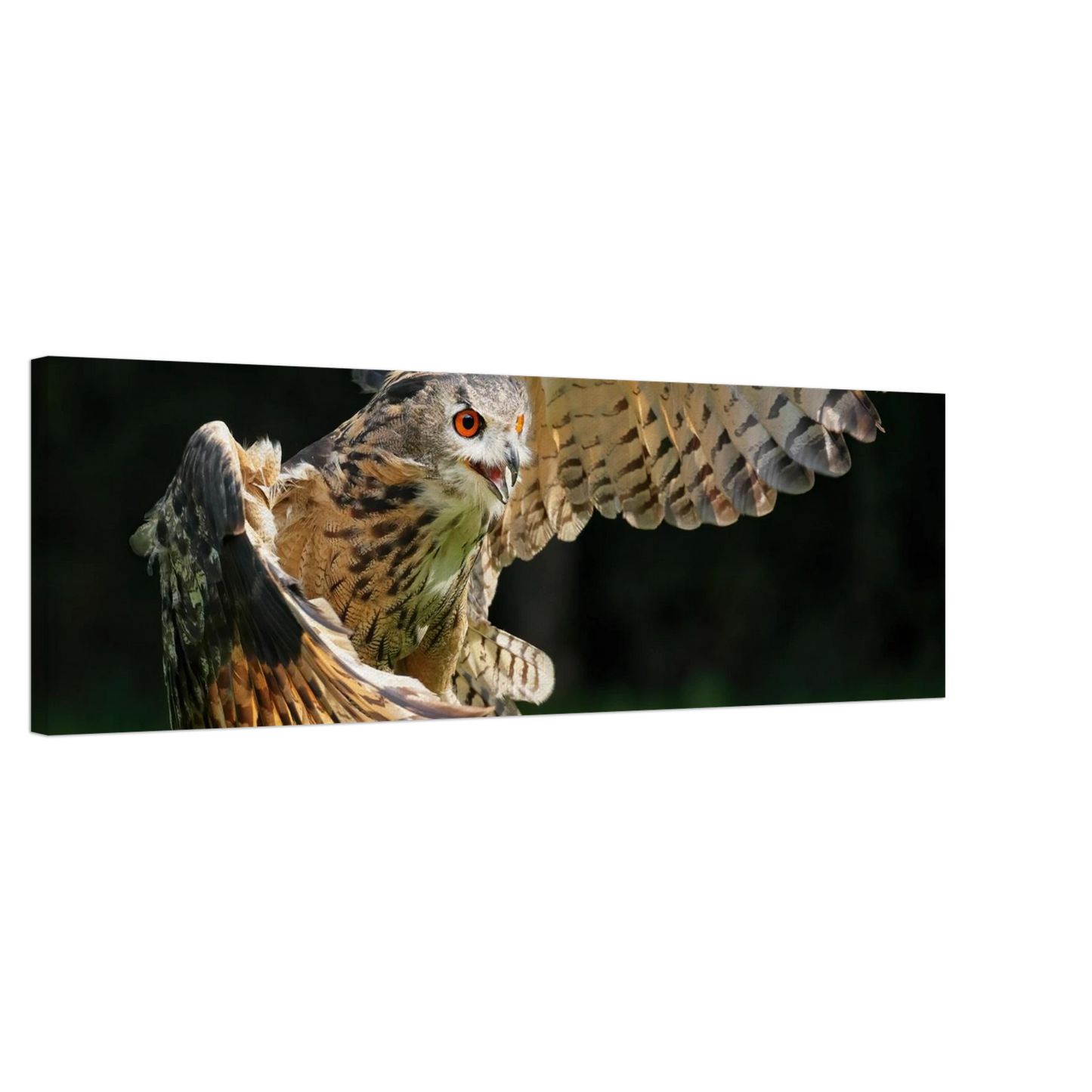 Wandbild majestaetische eule im flug ausdrucksstarke wandkunst fuer ihr zuhause