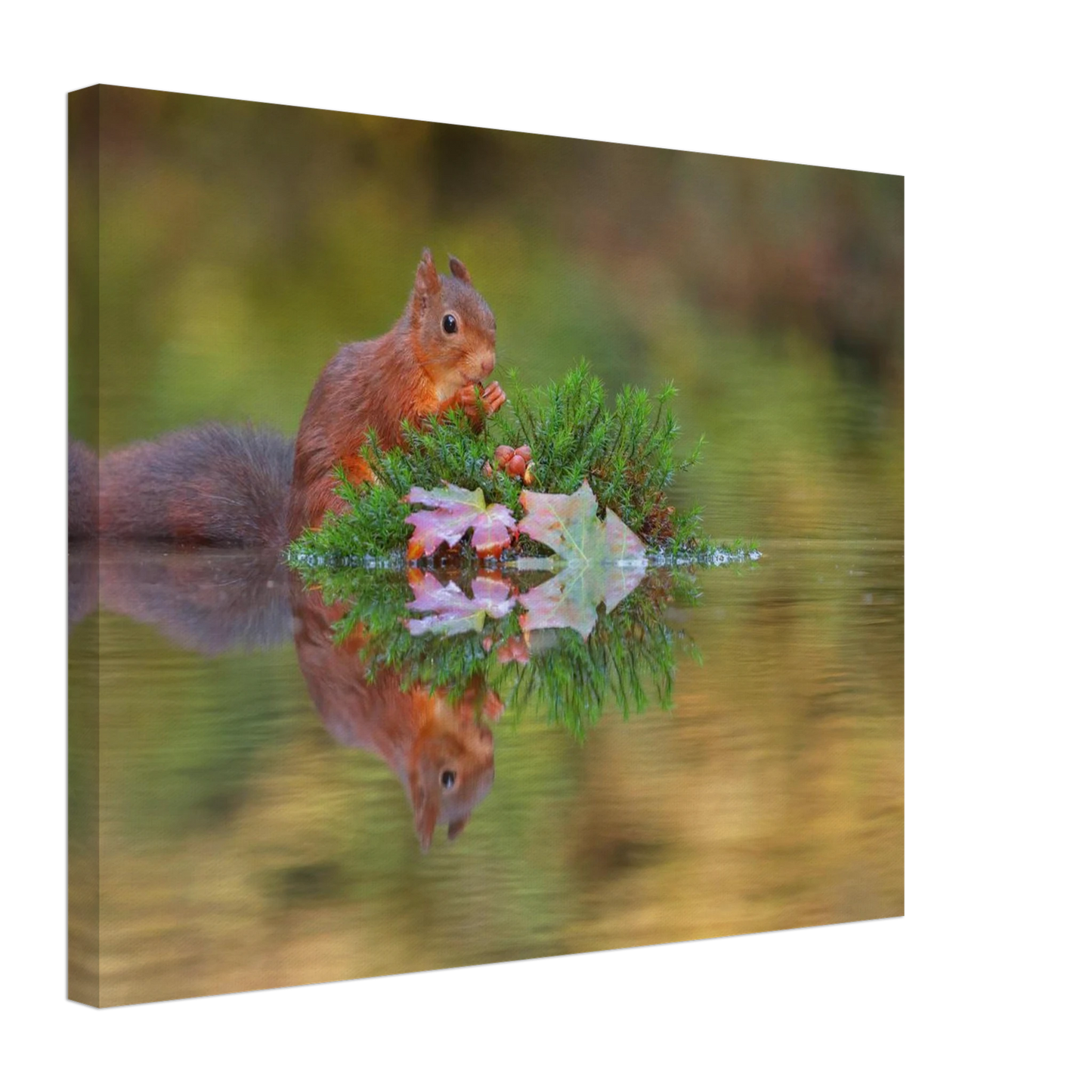 Wandbild bezauberndes eichhoernchen im herbstwald lebendige wildtierkunst fuer ihr zuhause in vielen groessen