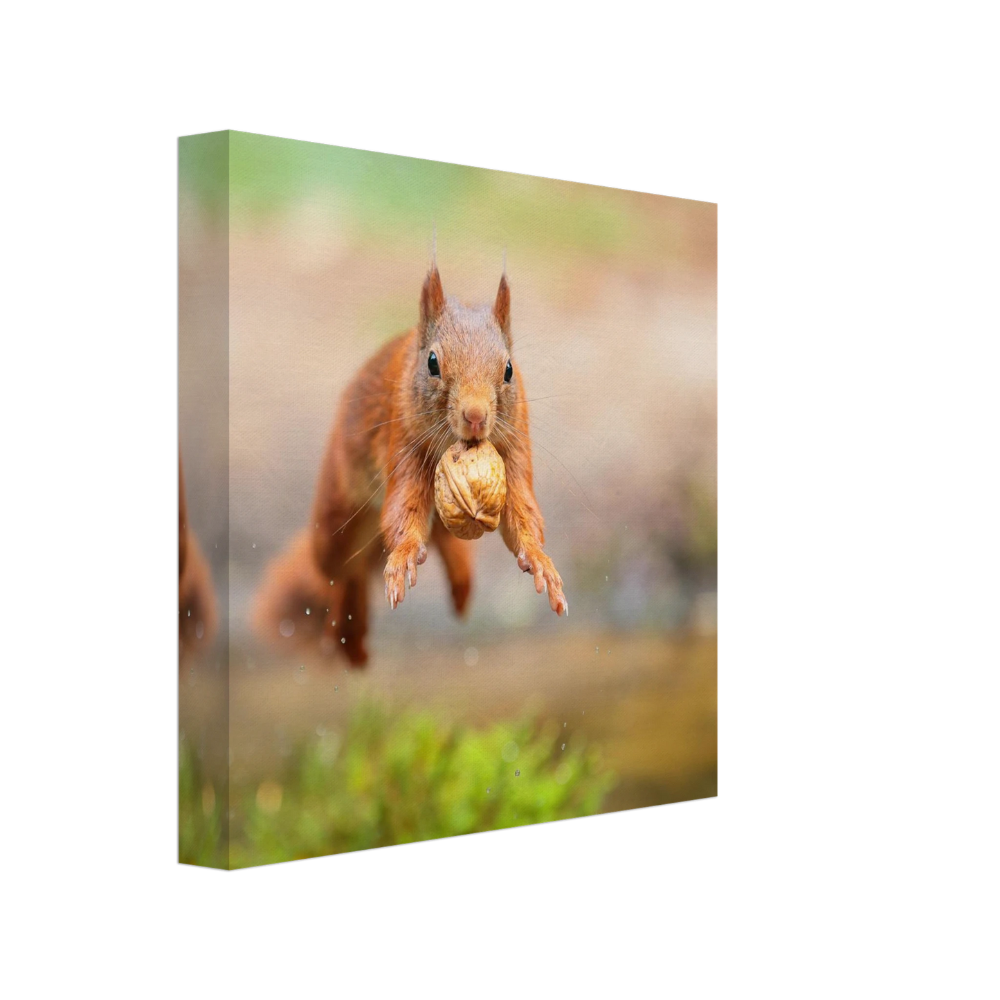 Wandbild eichhoernchens freudensprung dynamische tierkunst in leuchtenden farben