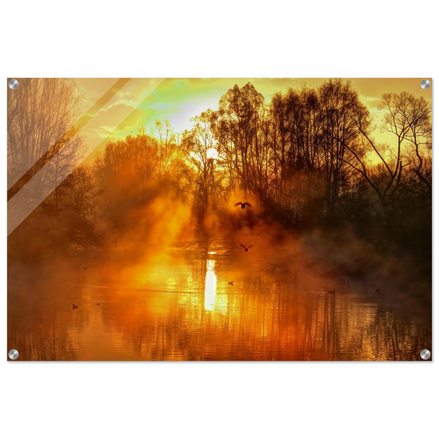 Wandbild Goldene morgenroete wandbild nebelwald poster in 25 groessenausfuehrungen