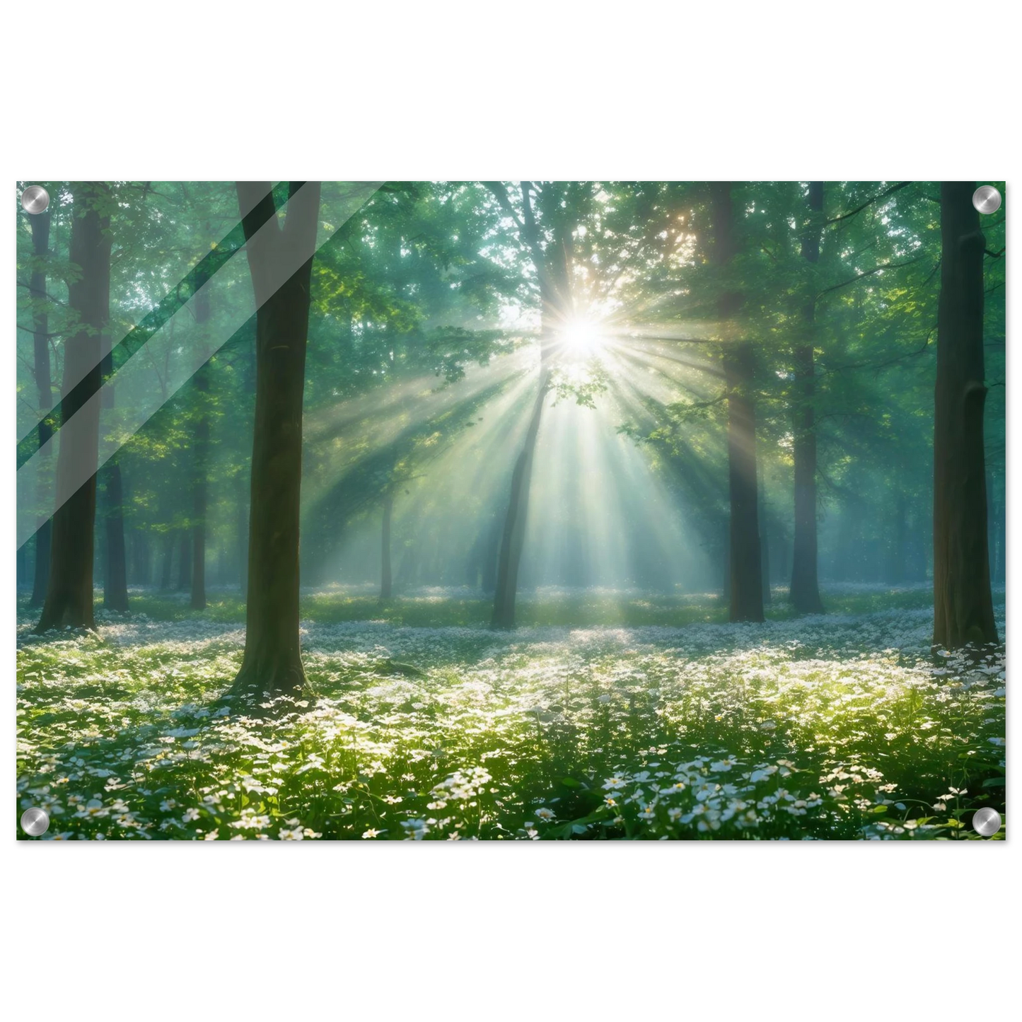 Wandbild mystischer wald sonnenstrahlen im gruenen bluetenmeer