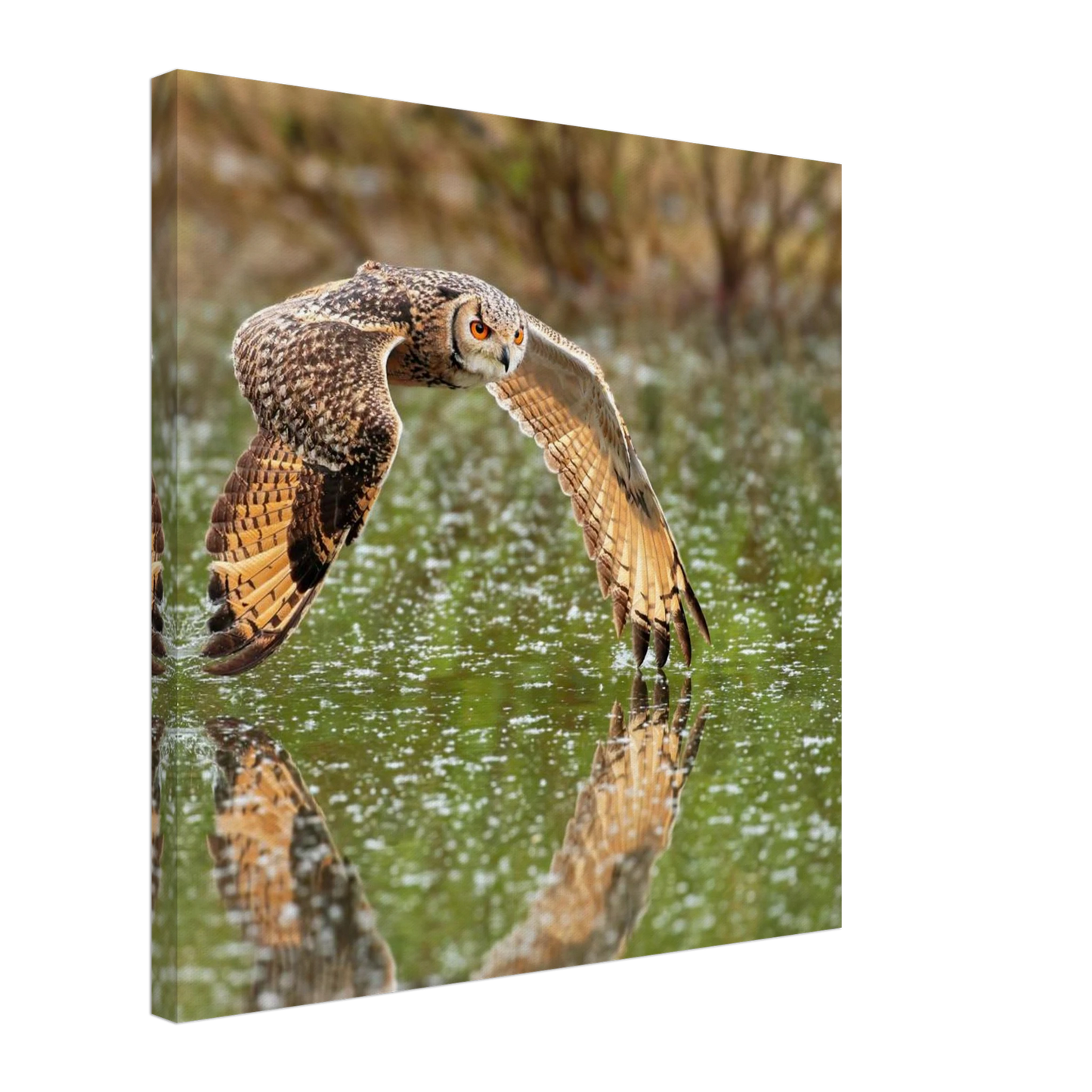 Wandbild majestaetische eule im flug naturfotografie mit lebendigen orangetoenen in ihrer wunschgroesse