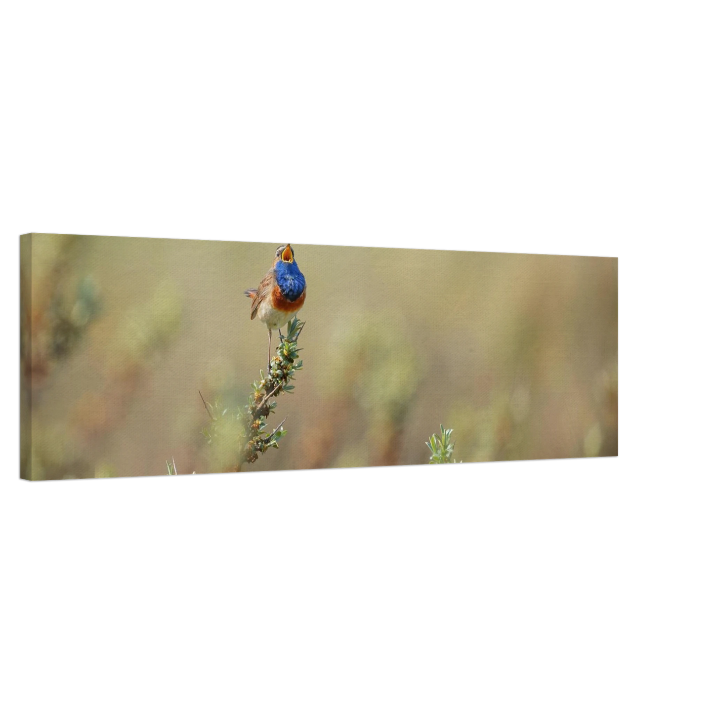 Wandbild lebendige nachtigall ein meisterwerk der naturfotografie fuer ihr zuhause