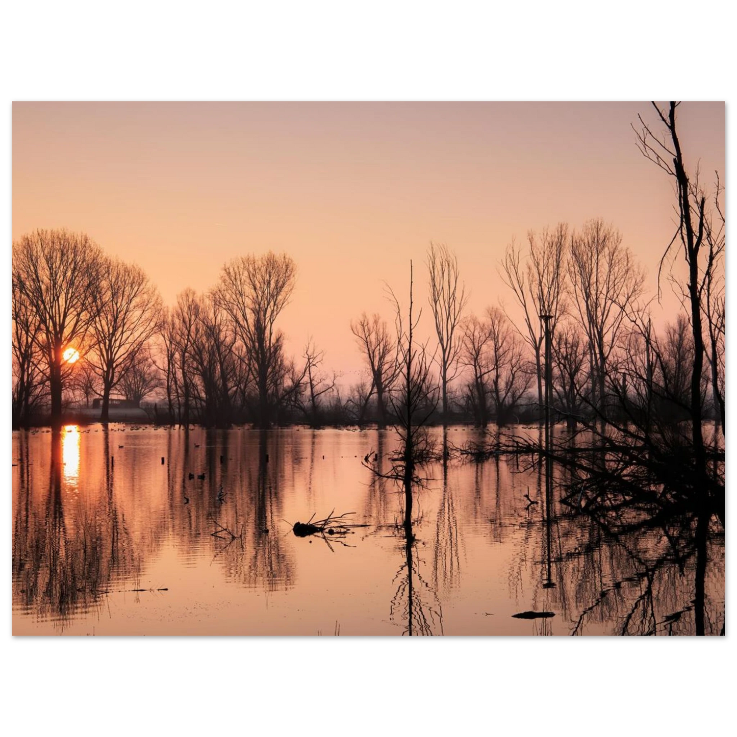 Wandbild mystischer sonnenuntergang am see vertraeumtes naturbild zum aufhaengen in ihrer wunschgroesse