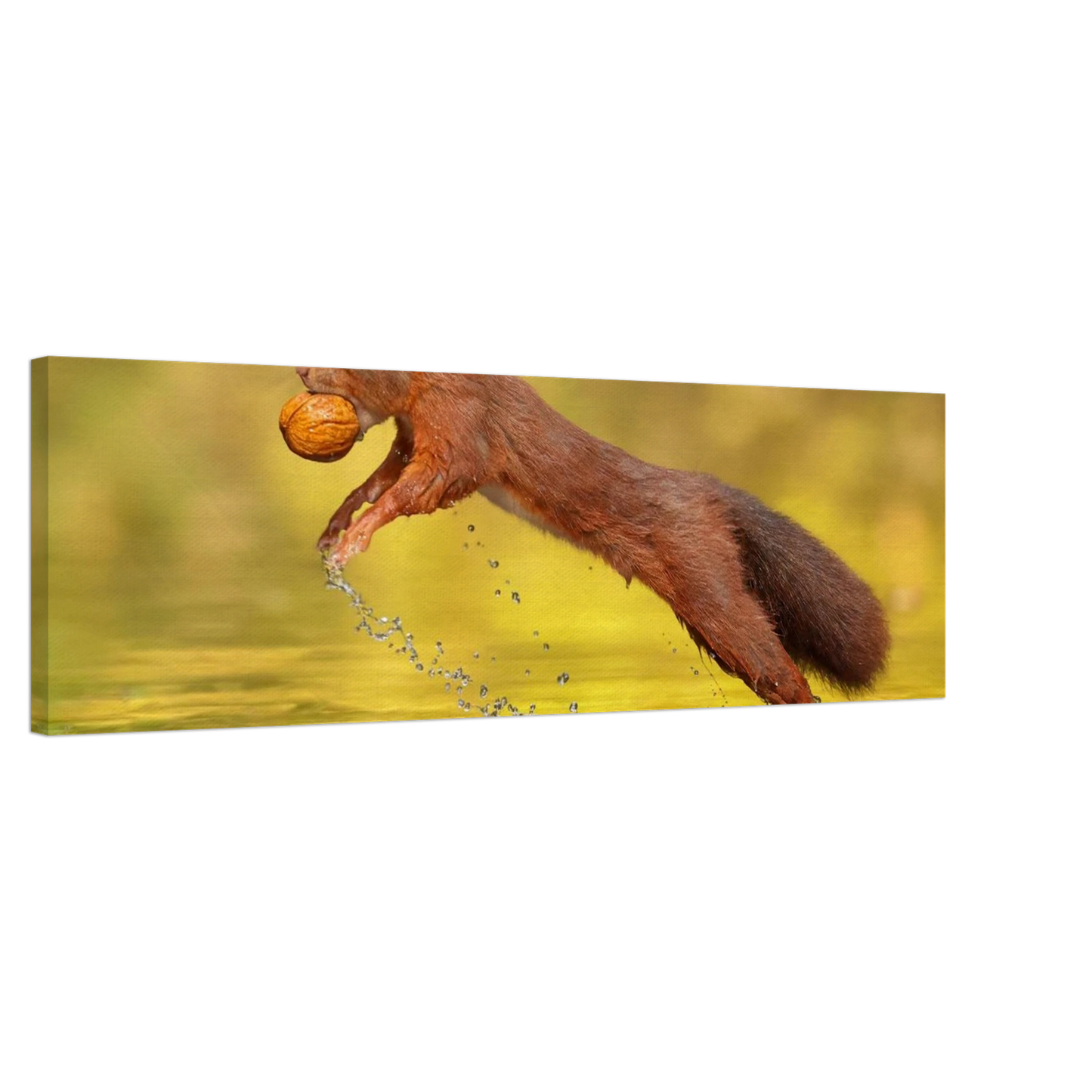 Wandbild eichhoernchen dynamische eichhoernchen kunst in lebhaften herbsttoenen