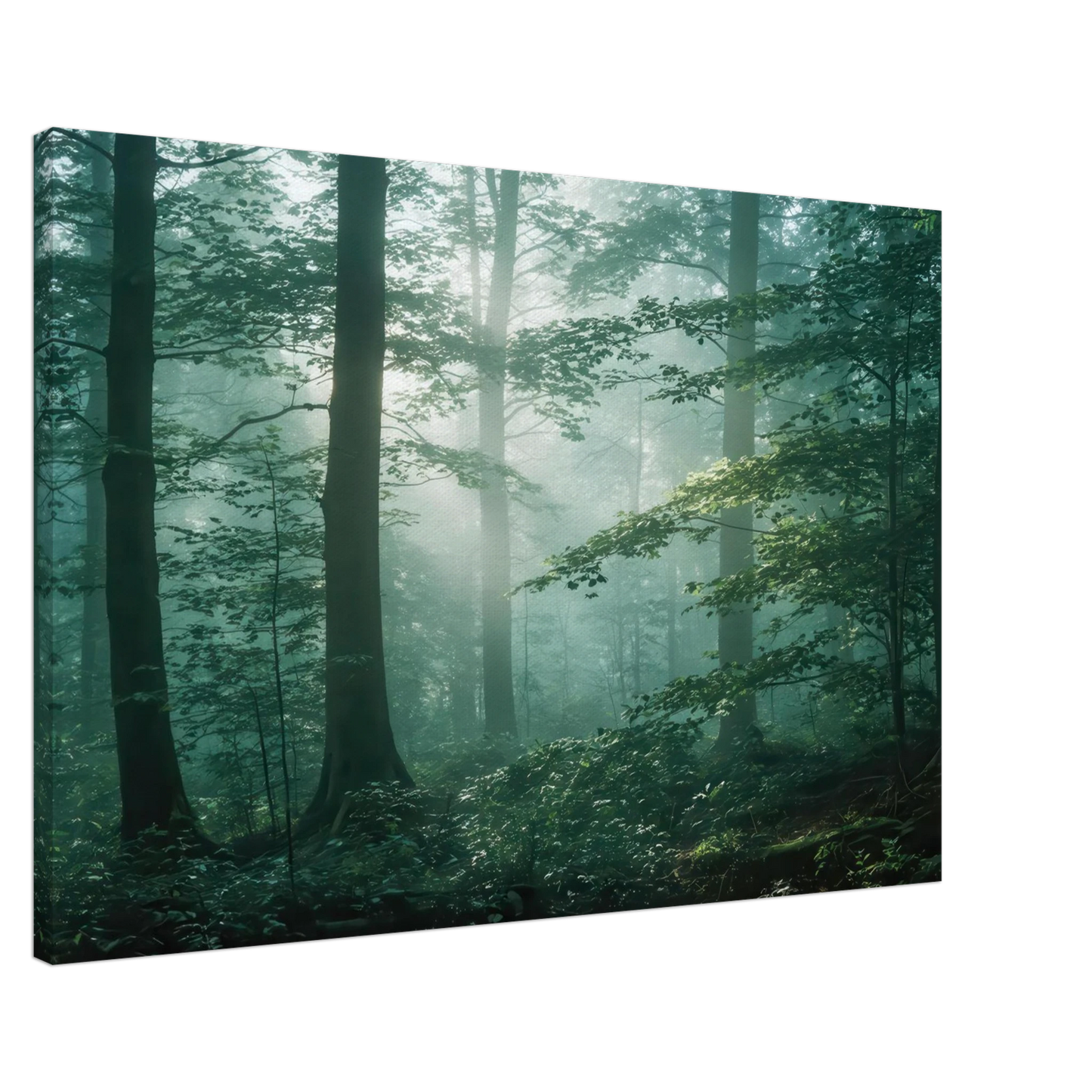 Wandbild mystischer smaragd wald mit sonnenstrahlen beruhigende nebelwald kunst in ihrer wunschgroesse