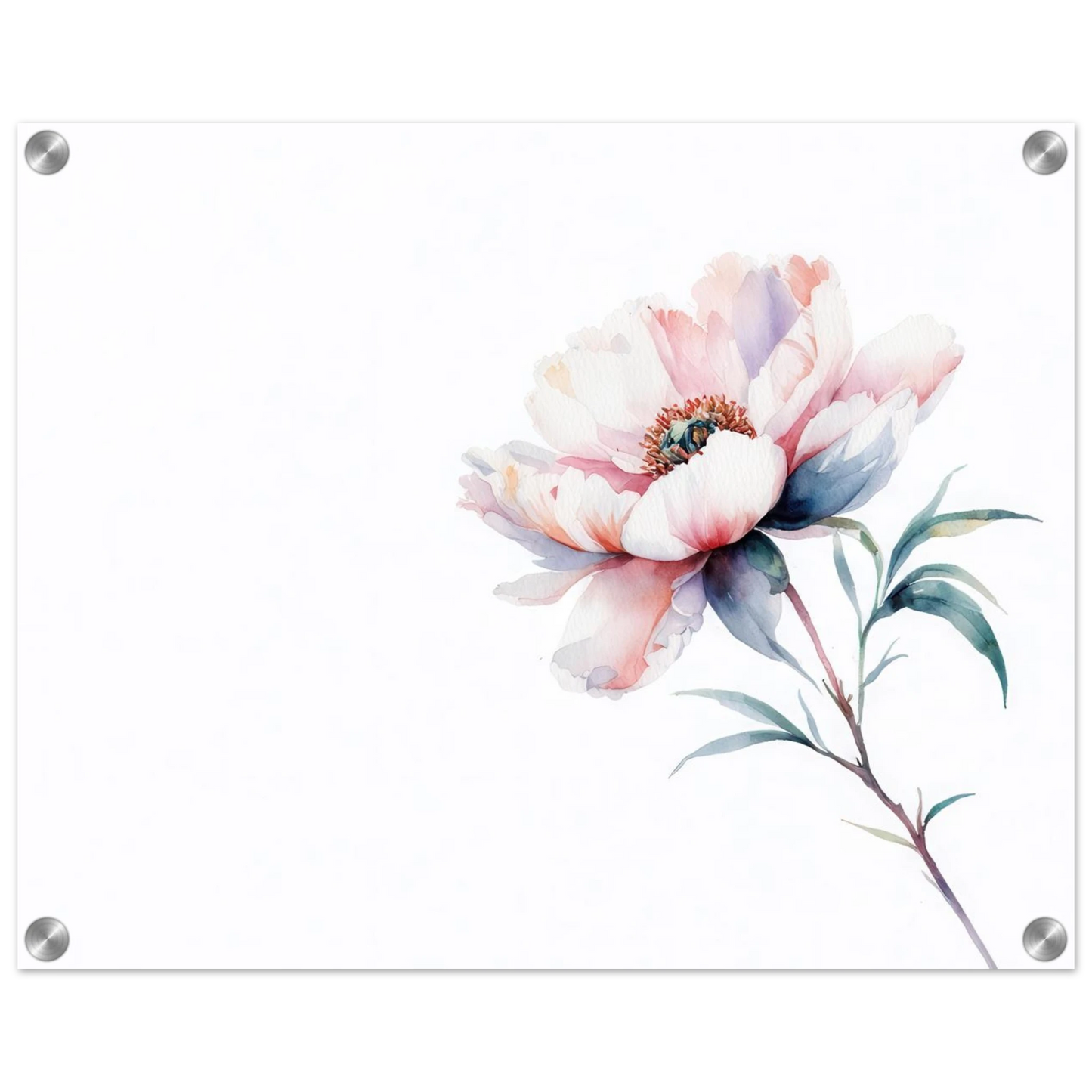 Wandbild zarte pfingstrose elegante aquarell kunst fuer ihr zuhause in wunschgroesse