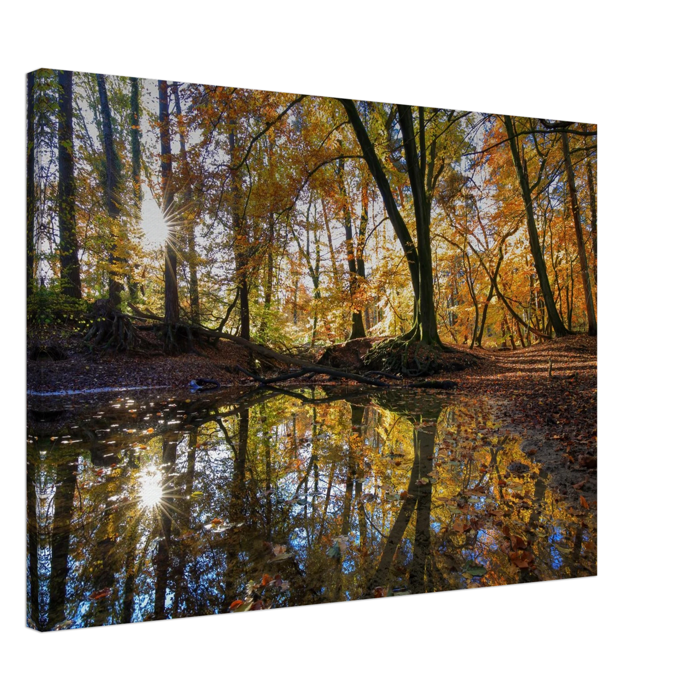 Wandbild goldener herbstwald stimmungsvolle spiegelung der natur in ihrer wunschgroesse