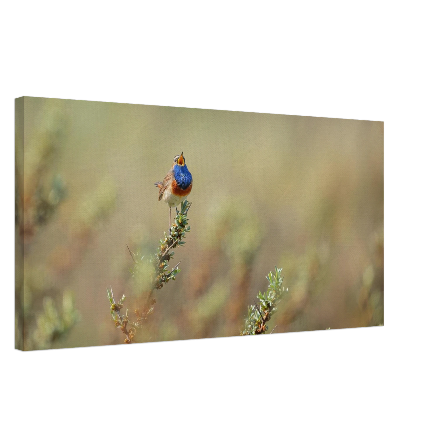 Wandbild lebendige nachtigall ein meisterwerk der naturfotografie fuer ihr zuhause