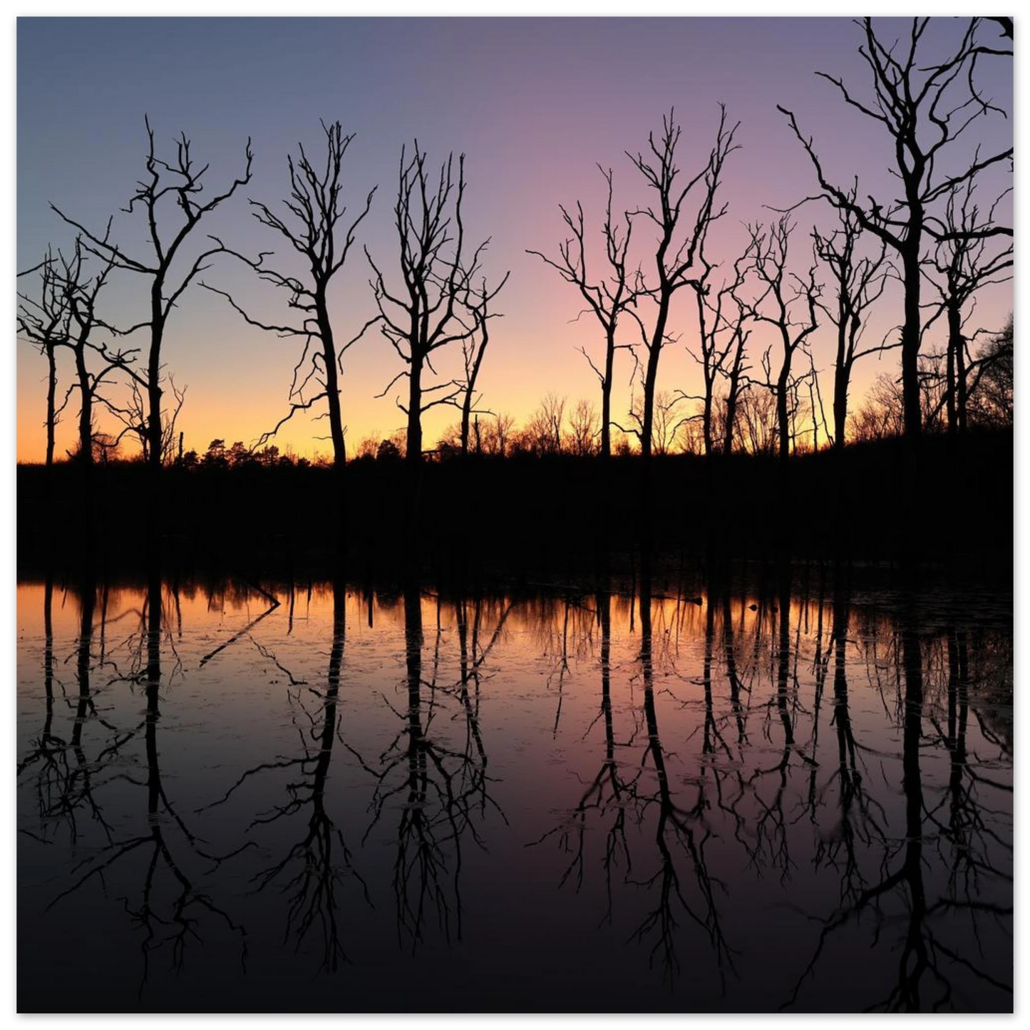 Wandbild sonnenuntergang ueber spiegelndem see magische naturlandschaft mit silhouetten