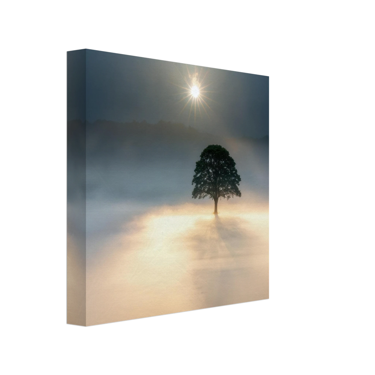 Wandbild mystisches baum wandbild einzelner baum im nebel sonnenaufgang waehlbar in verschiedenen groessen