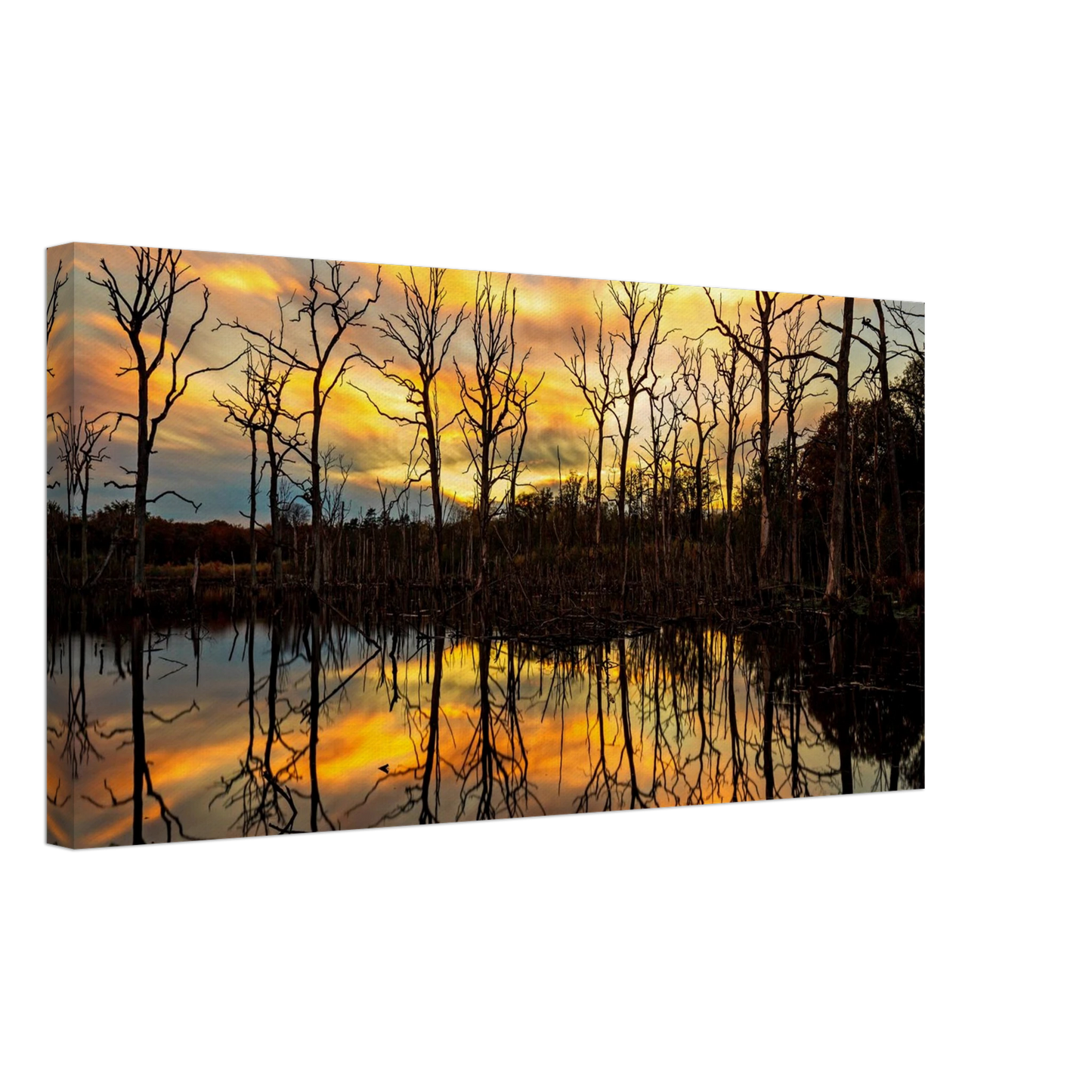 Wandbild mystischer sonnenuntergang ueber dem baumsee lebendige kunstdrucke in vielen groessen