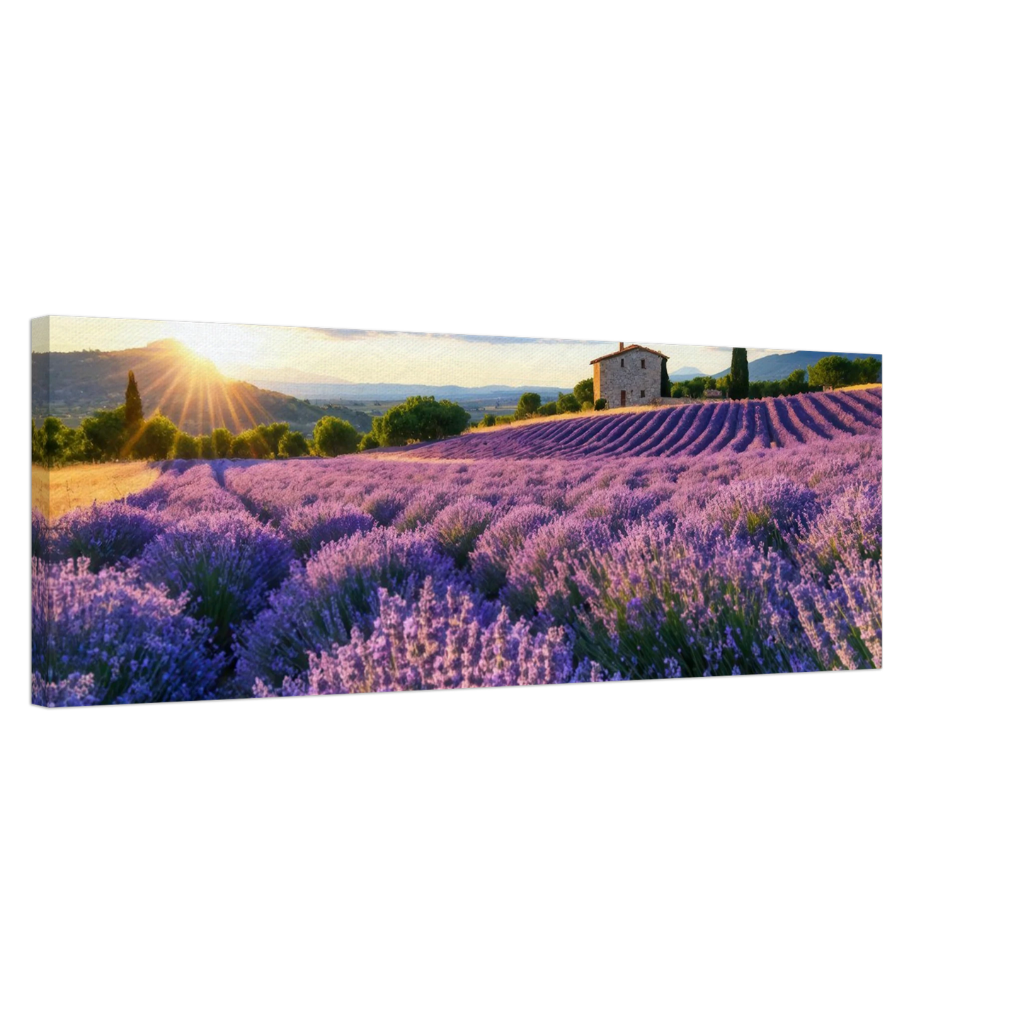 Wandbild sonnenuntergang ueber lavendelfeldern idyllische provence landschaft im wunschformat