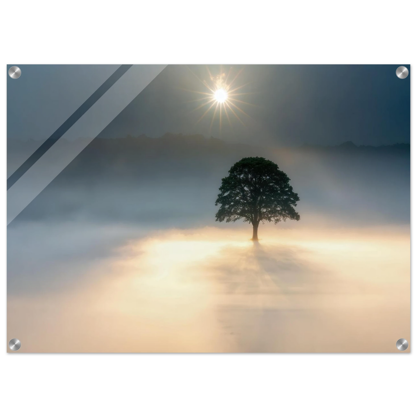 Wandbild mystisches baum wandbild einzelner baum im nebel sonnenaufgang waehlbar in verschiedenen groessen