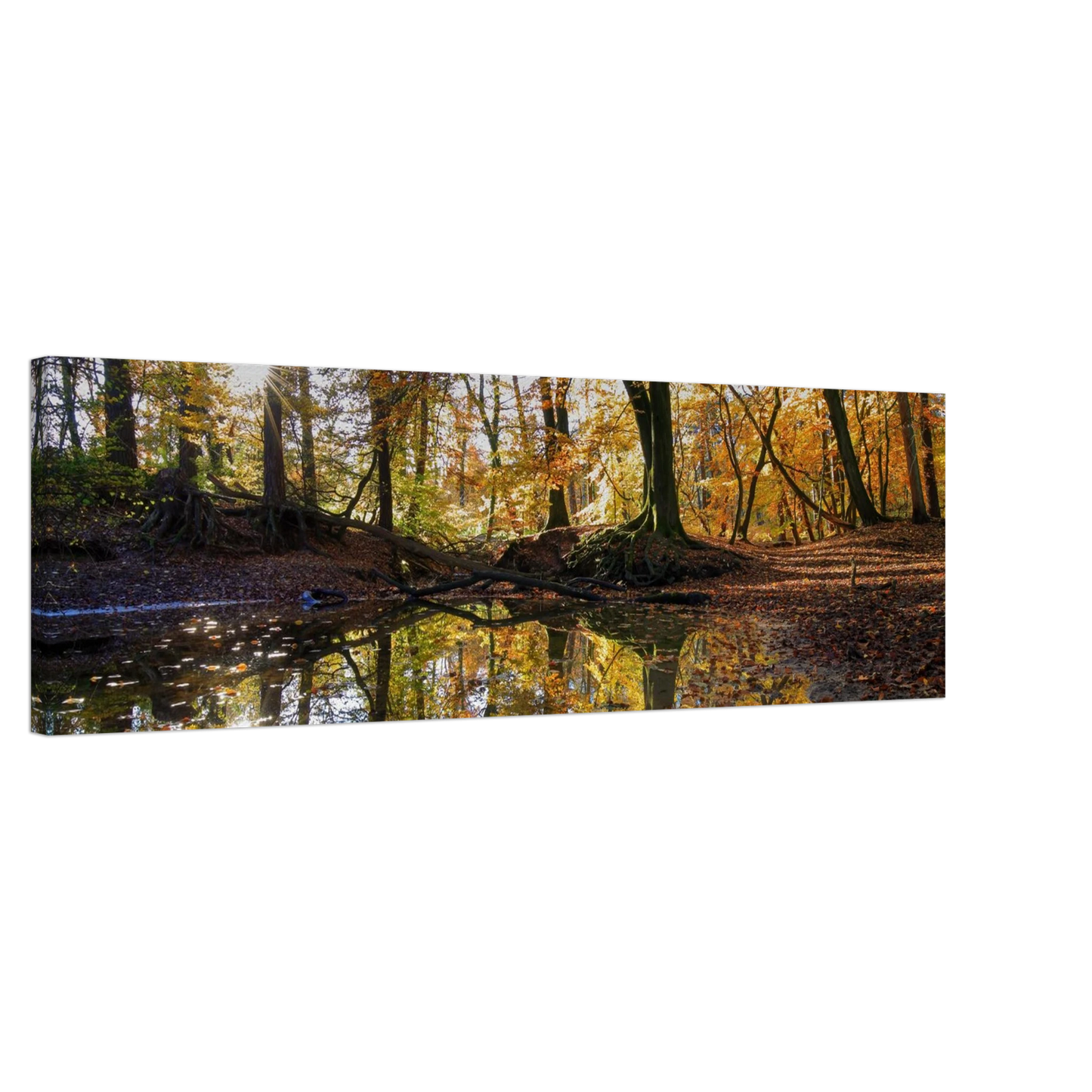 Wandbild goldener herbstwald stimmungsvolle spiegelung der natur in ihrer wunschgroesse