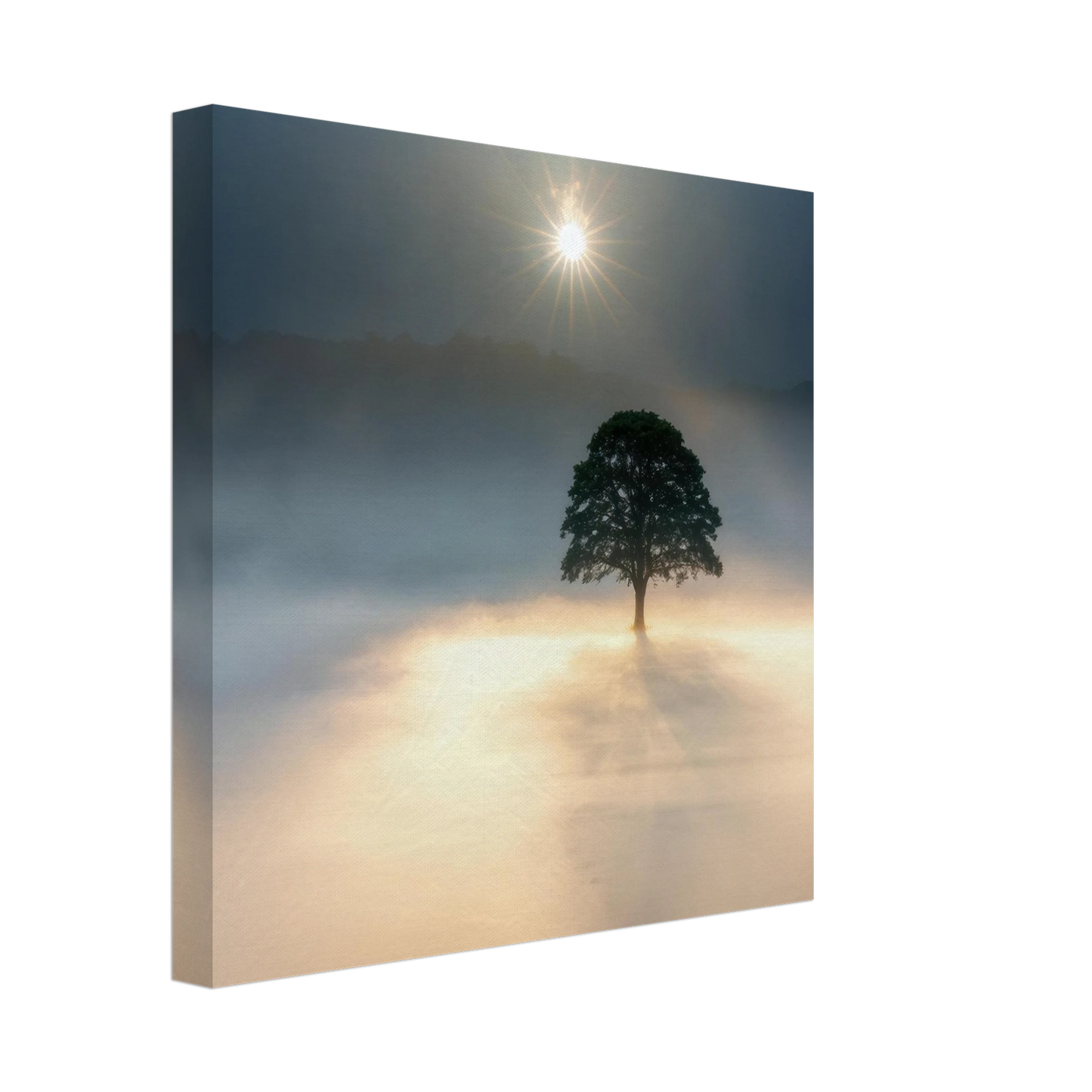 Wandbild mystisches baum wandbild einzelner baum im nebel sonnenaufgang waehlbar in verschiedenen groessen