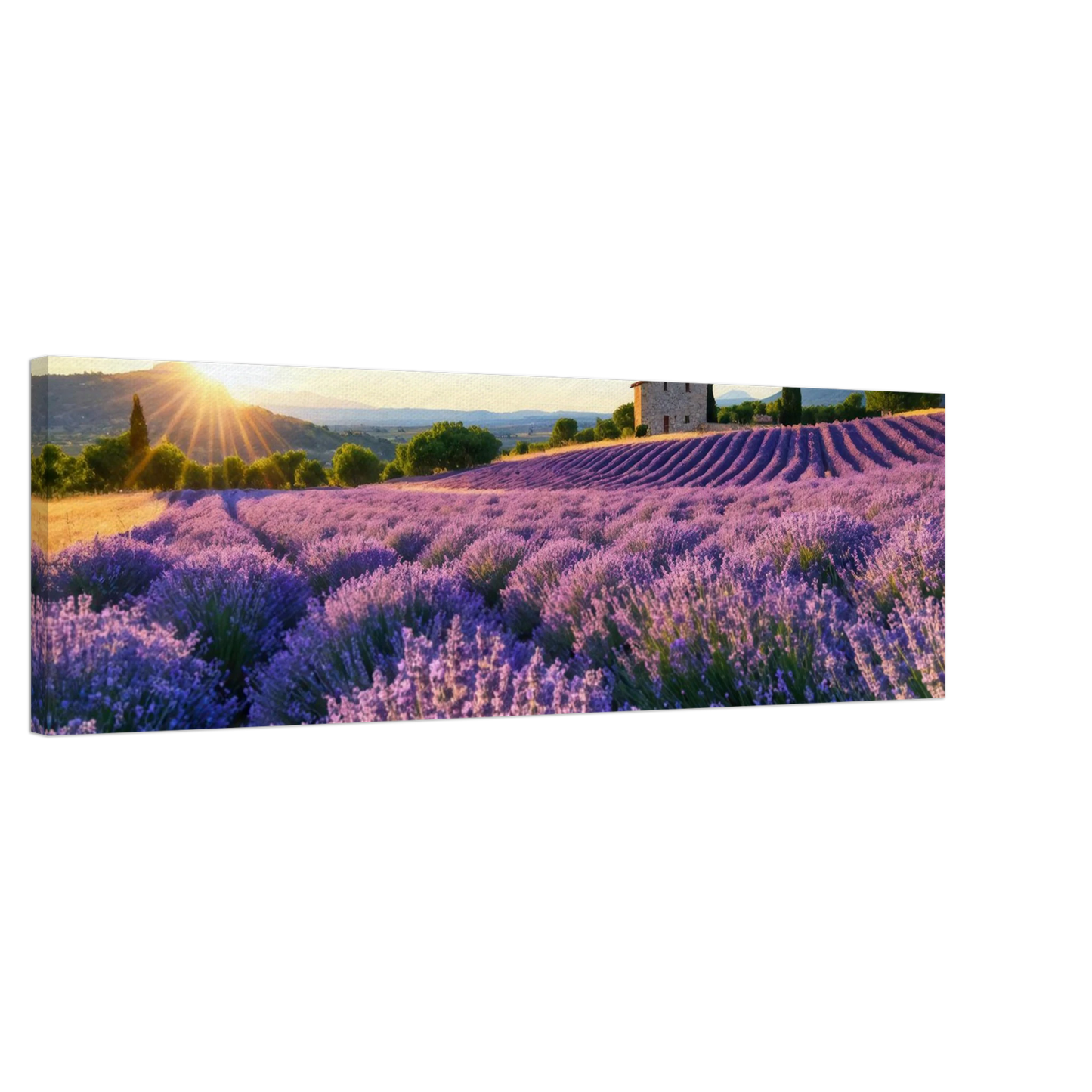 Wandbild sonnenuntergang ueber lavendelfeldern idyllische provence landschaft im wunschformat