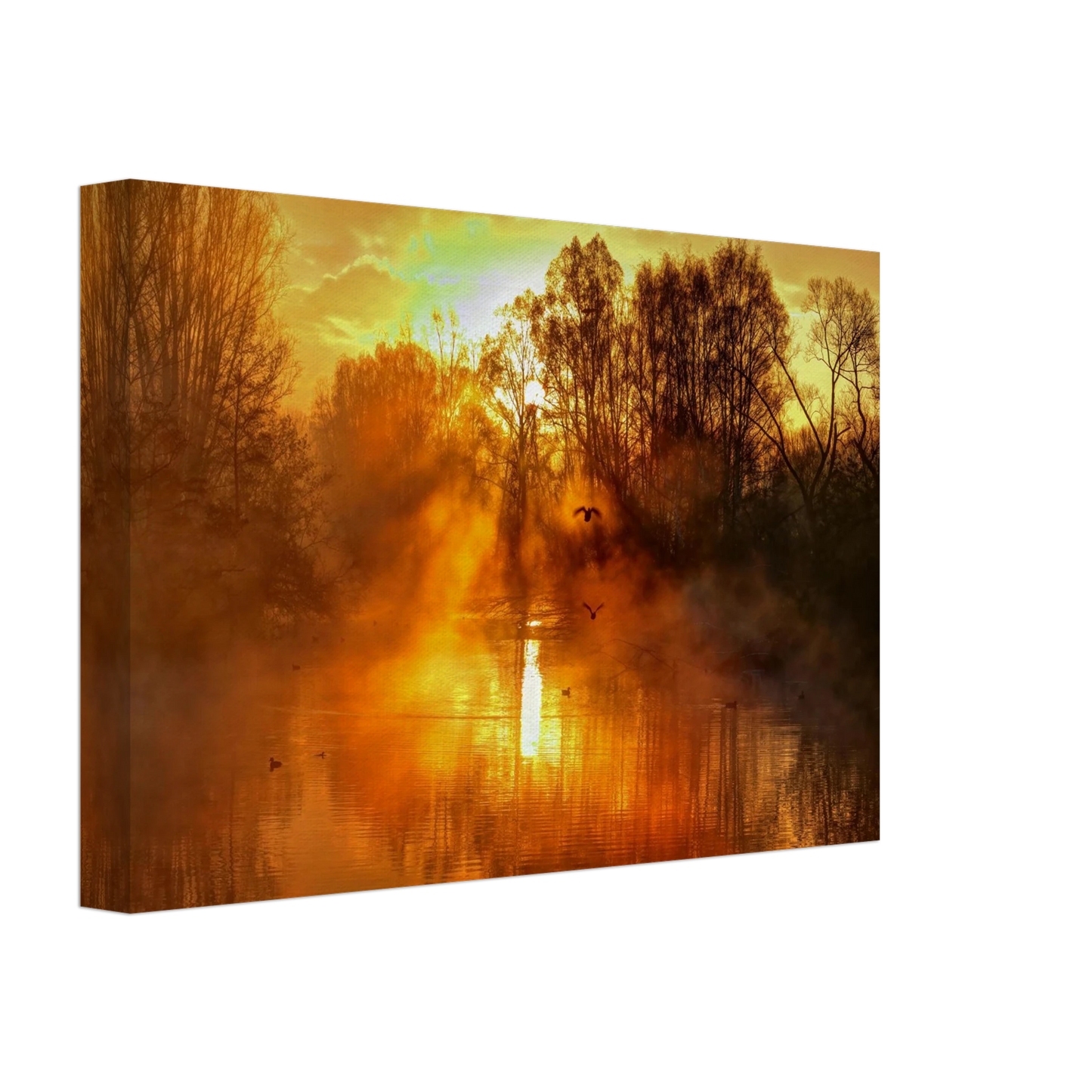 Wandbild Goldene morgenroete wandbild nebelwald poster in 25 groessenausfuehrungen