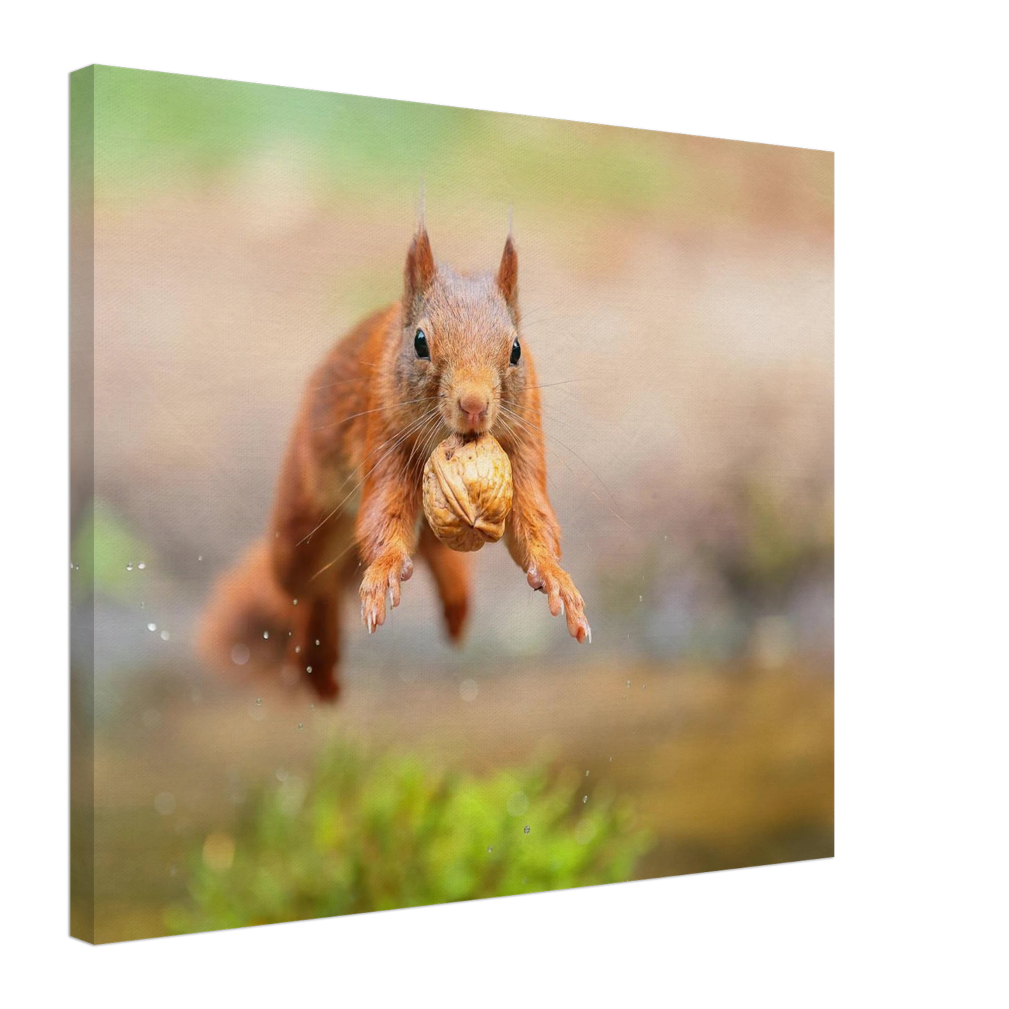 Wandbild eichhoernchens freudensprung dynamische tierkunst in leuchtenden farben
