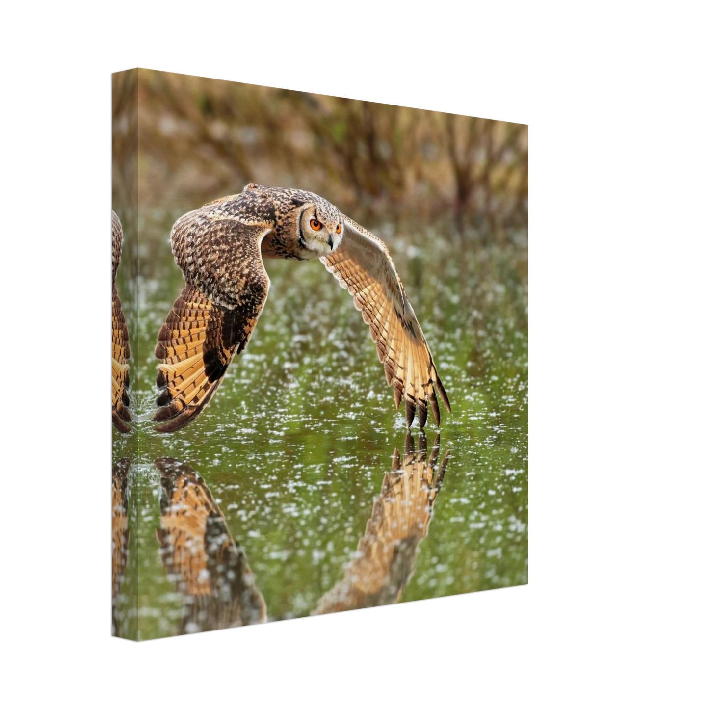 Wandbild majestaetische eule im flug naturfotografie mit lebendigen orangetoenen in ihrer wunschgroesse