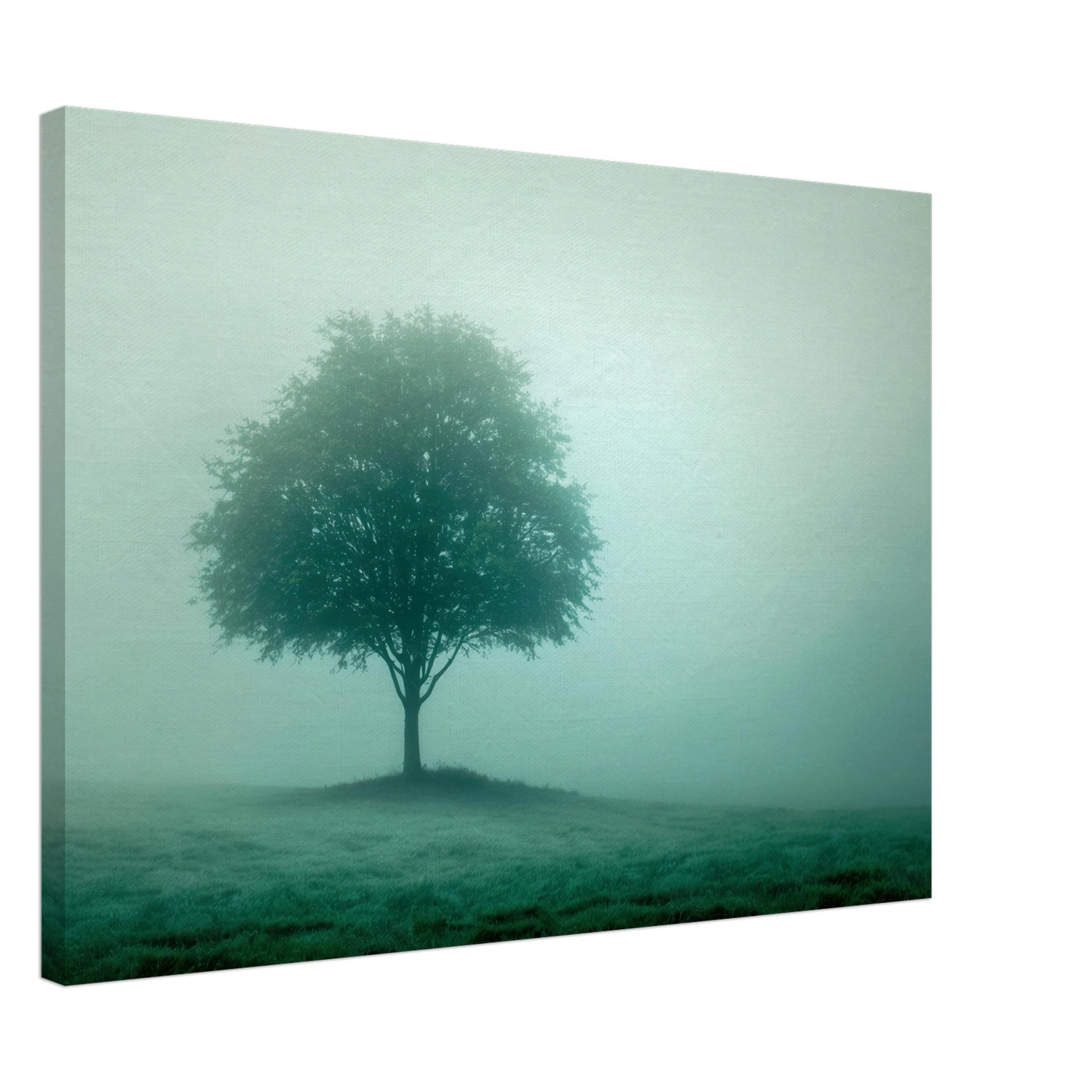 Wandbild mystischer baum im nebel ruhe und gruentoene fuer dein zuhause