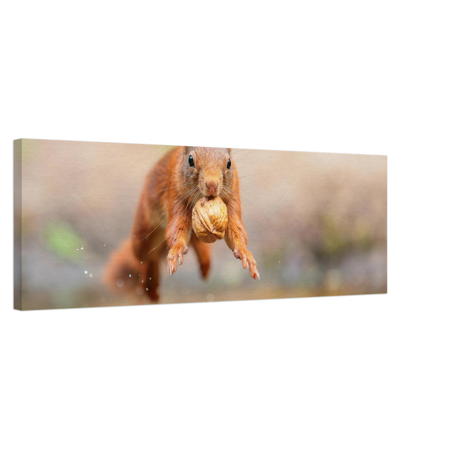 Wandbild eichhoernchens freudensprung dynamische tierkunst in leuchtenden farben