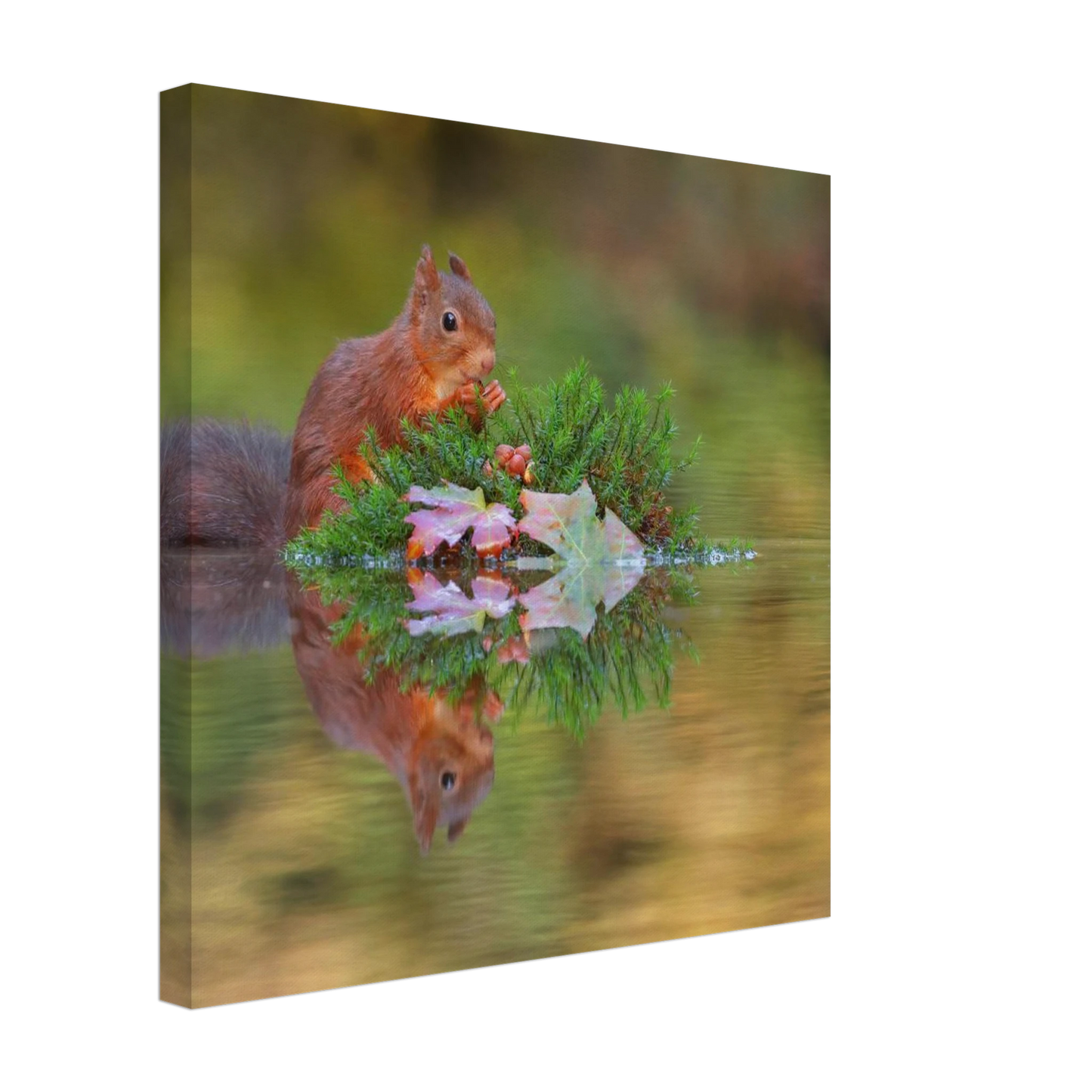 Wandbild bezauberndes eichhoernchen im herbstwald lebendige wildtierkunst fuer ihr zuhause in vielen groessen
