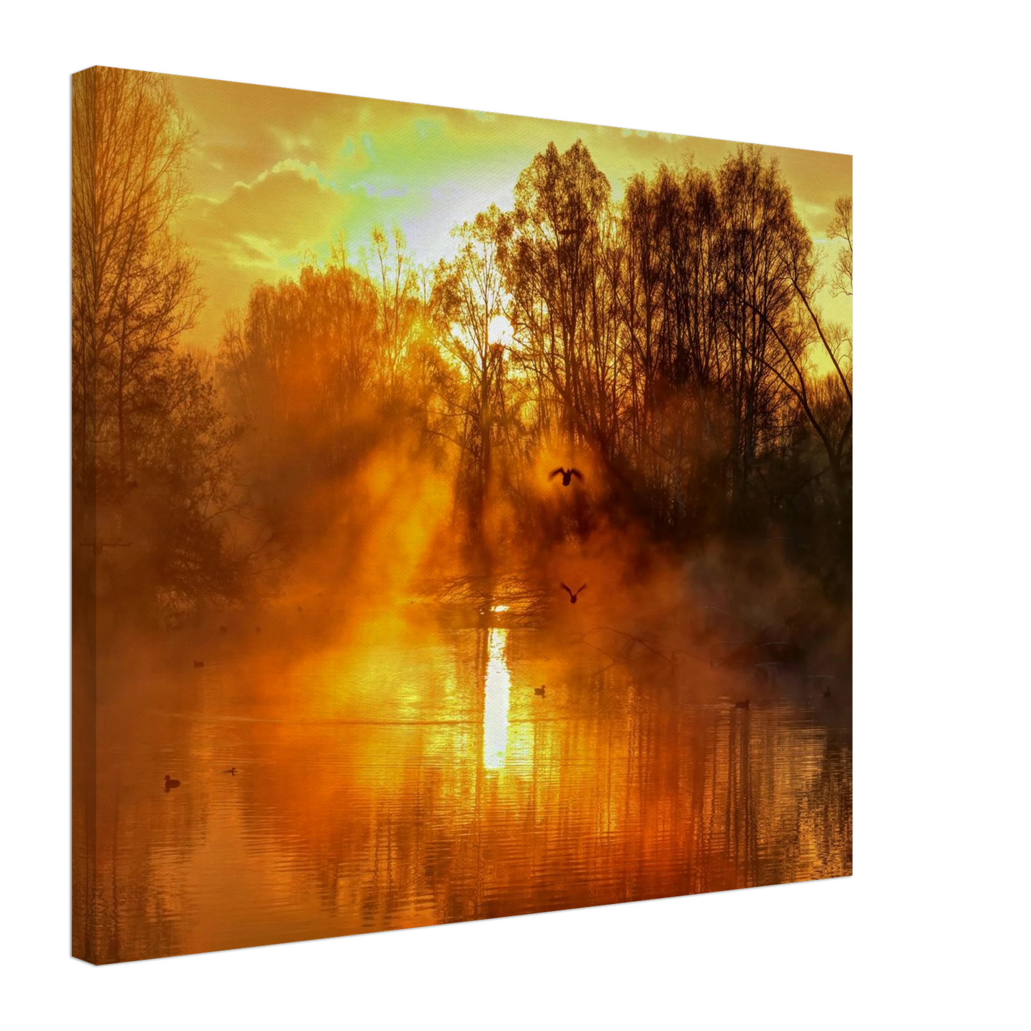 Wandbild Goldene morgenroete wandbild nebelwald poster in 25 groessenausfuehrungen