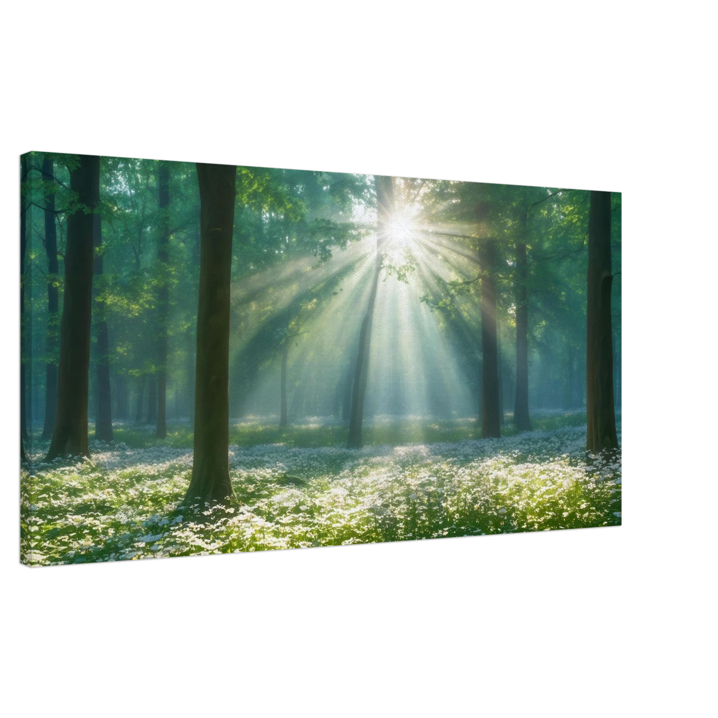 Wandbild mystischer wald sonnenstrahlen im gruenen bluetenmeer