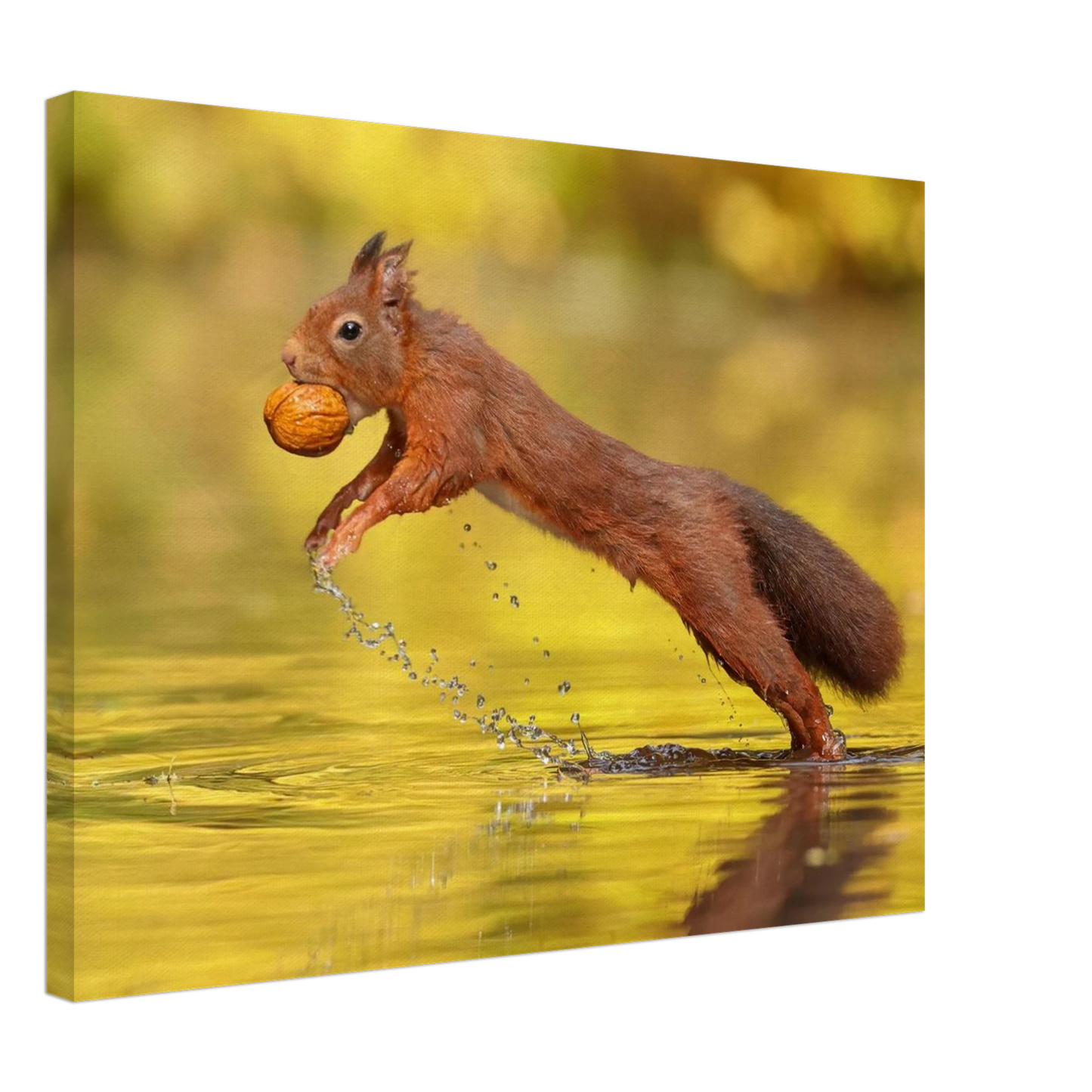 Wandbild eichhoernchen dynamische eichhoernchen kunst in lebhaften herbsttoenen