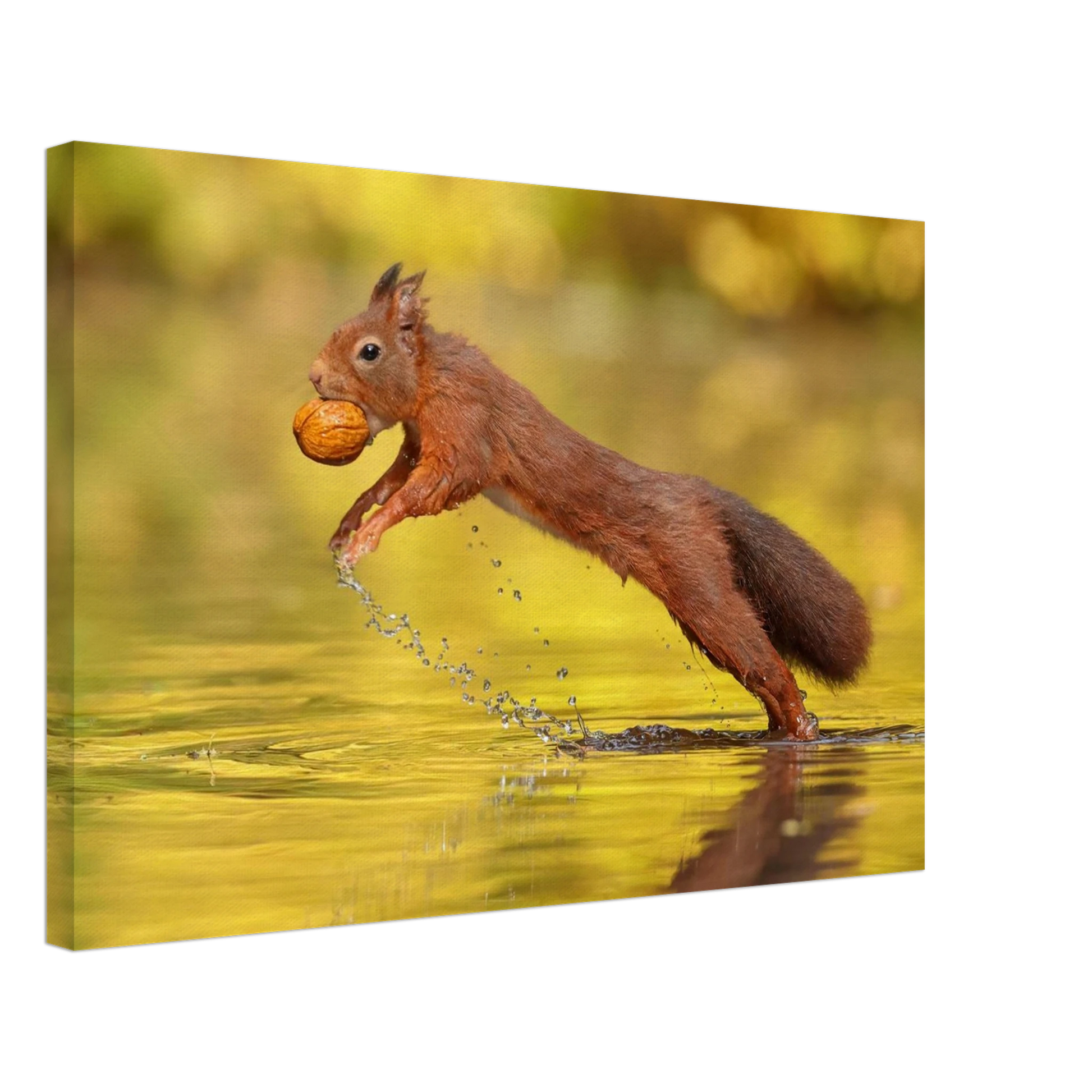 Wandbild eichhoernchen dynamische eichhoernchen kunst in lebhaften herbsttoenen