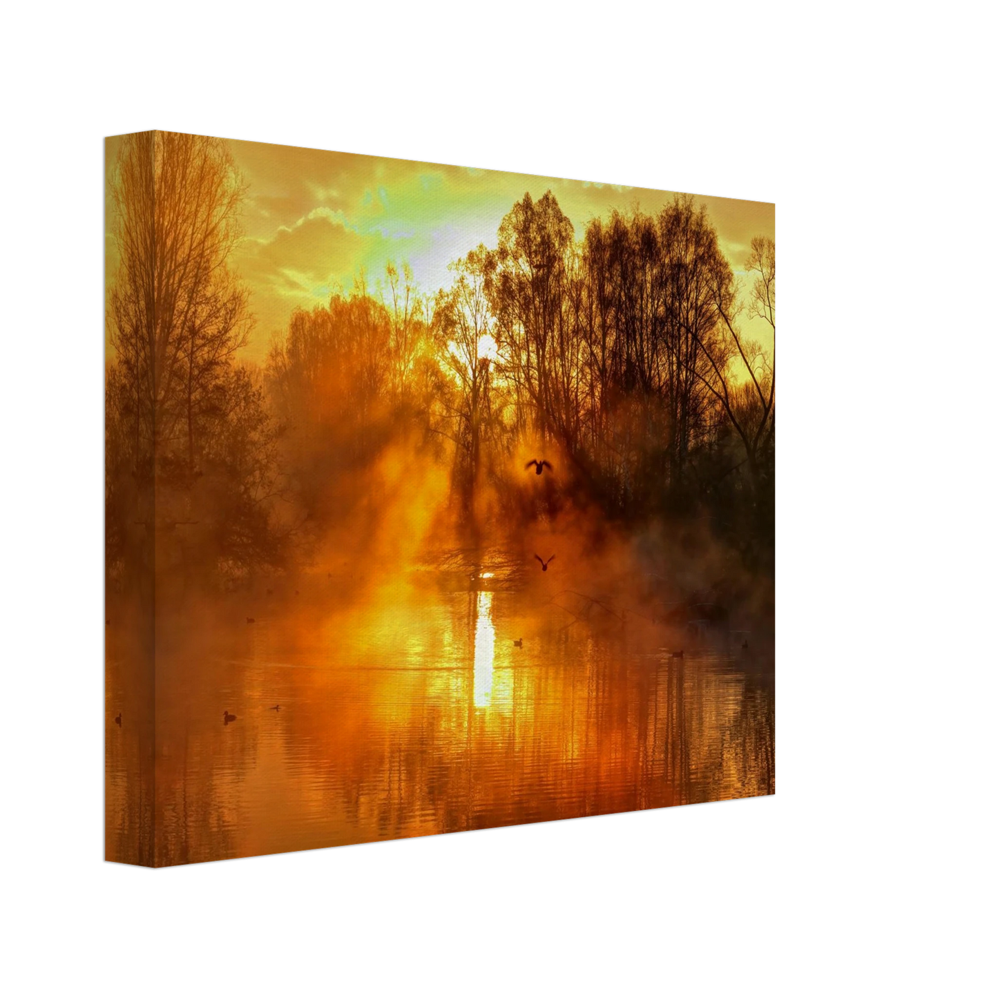 Wandbild Goldene morgenroete wandbild nebelwald poster in 25 groessenausfuehrungen