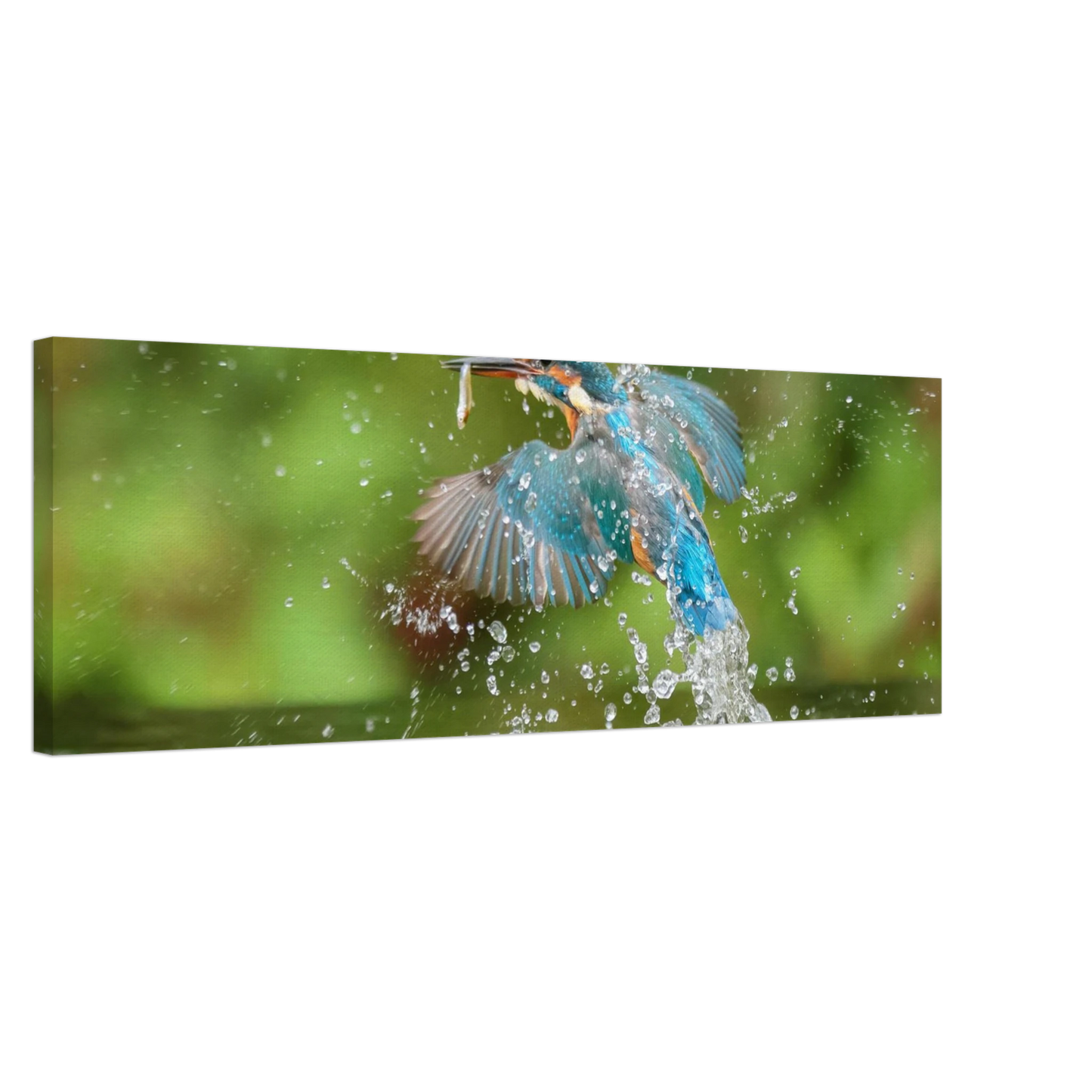Wandbild eisvogel im sturzflug lebendige wildtierkunst fuer ihr zuhause
