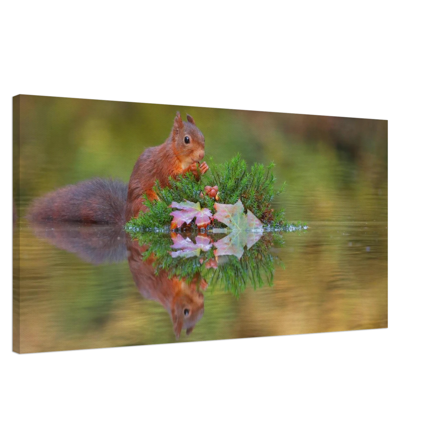 Wandbild bezauberndes eichhoernchen im herbstwald lebendige wildtierkunst fuer ihr zuhause in vielen groessen
