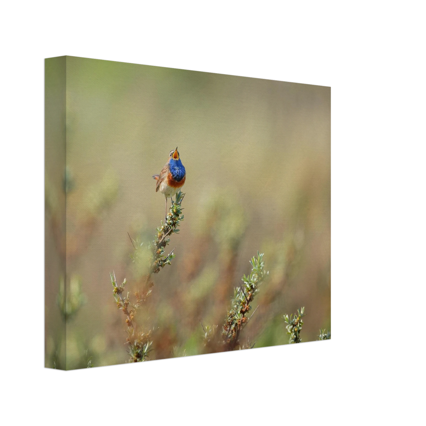 Wandbild lebendige nachtigall ein meisterwerk der naturfotografie fuer ihr zuhause
