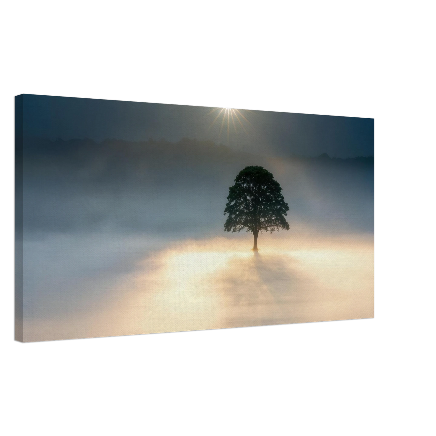 Wandbild mystisches baum wandbild einzelner baum im nebel sonnenaufgang waehlbar in verschiedenen groessen
