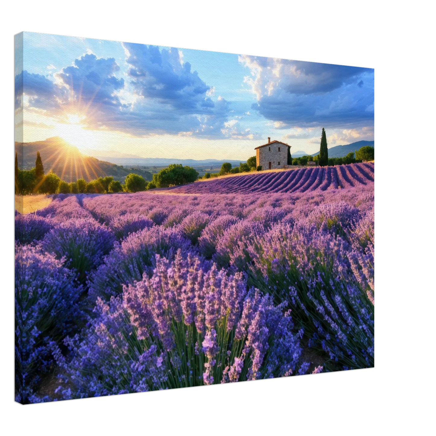 Wandbild sonnenuntergang ueber lavendelfeldern idyllische provence landschaft im wunschformat